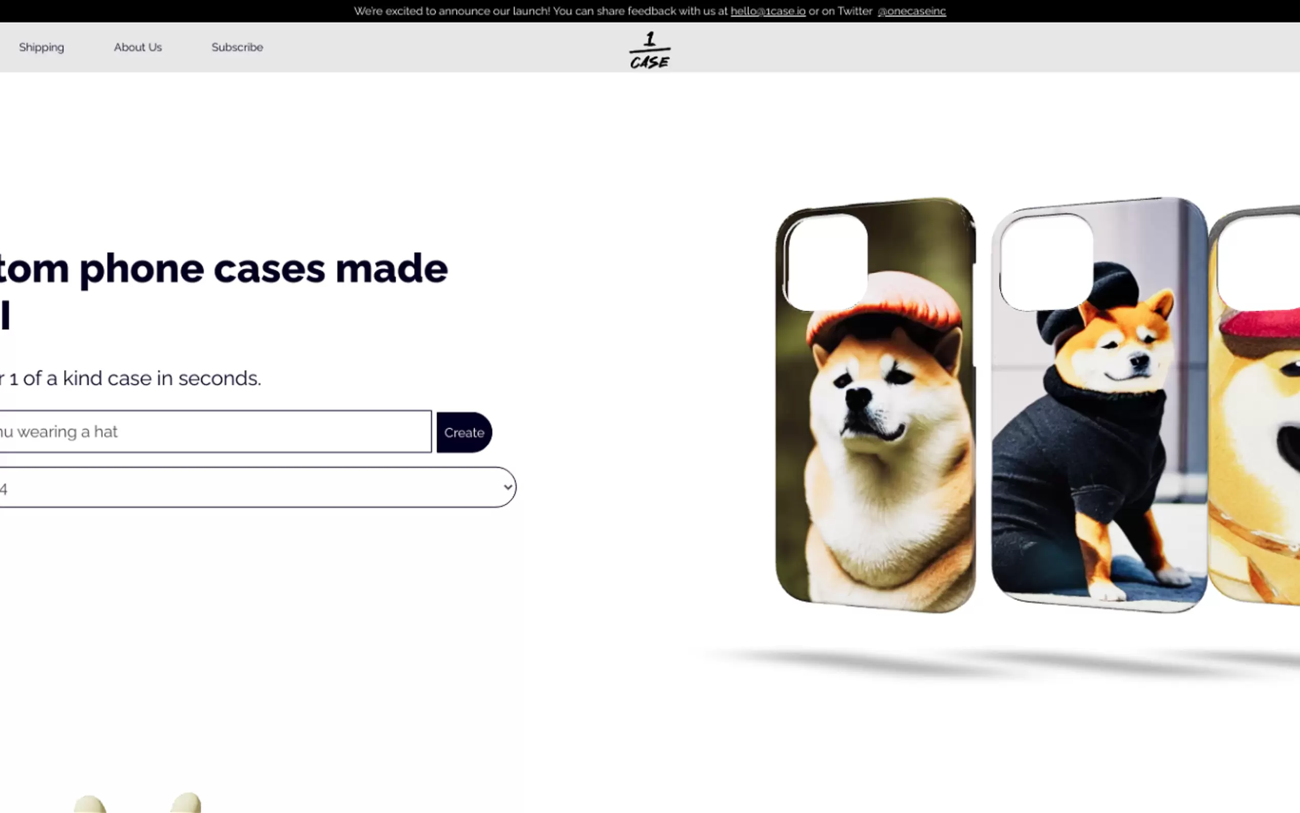 1Case