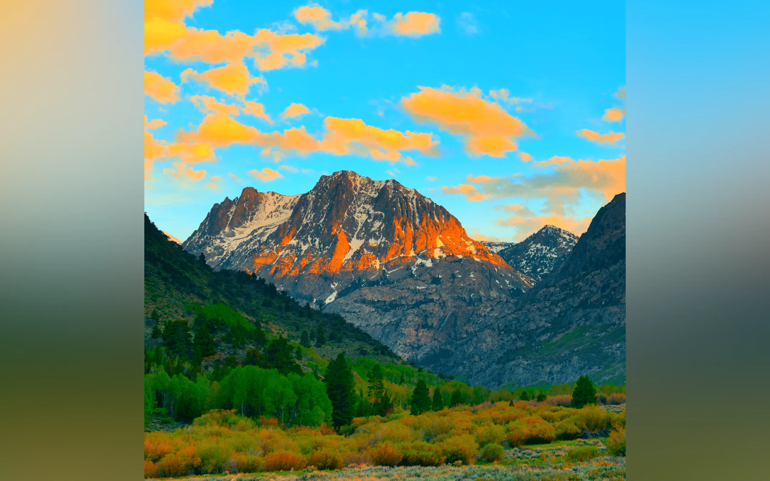 Screenshot 2 of AI Photo Wizard