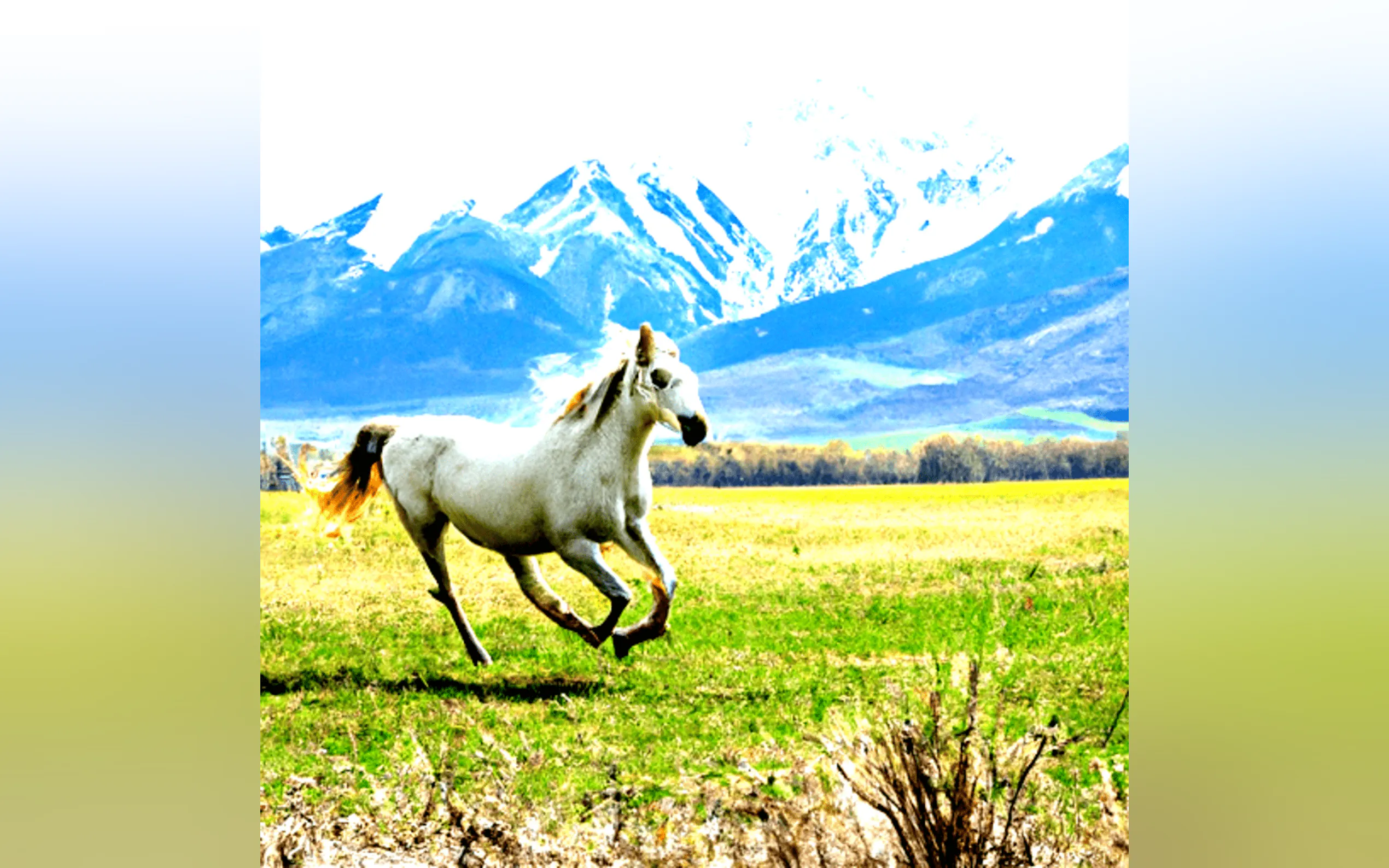 Screenshot 3 of AI Photo Wizard