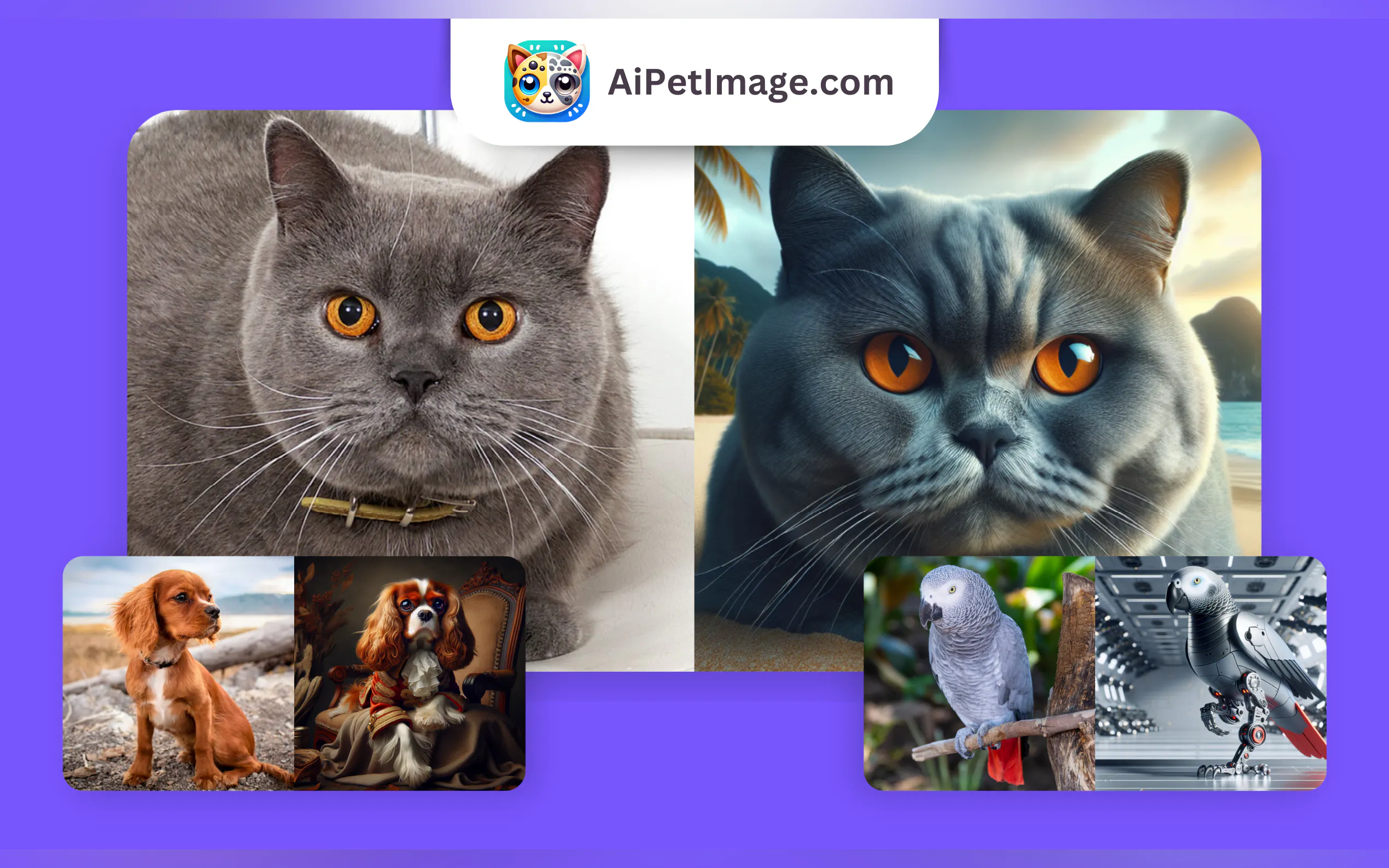 Screenshot 2 of AiPetImage
