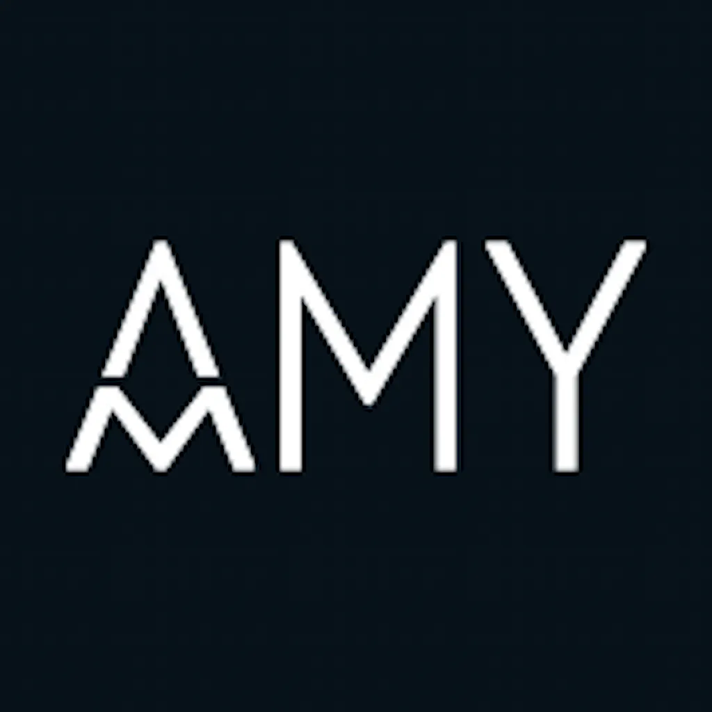 Amy Color - Photo AI Filters