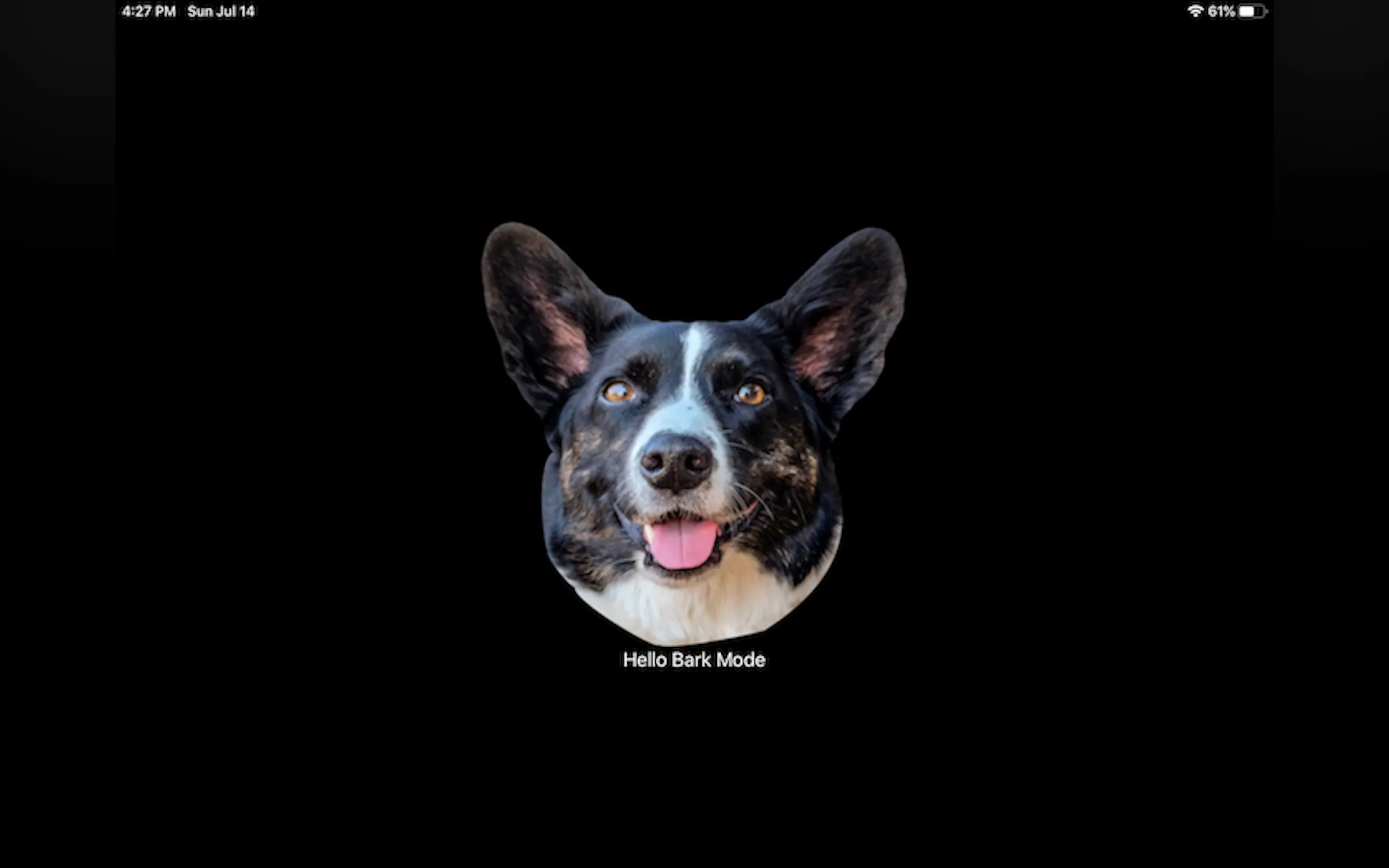 Screenshot 2 of BarkMode