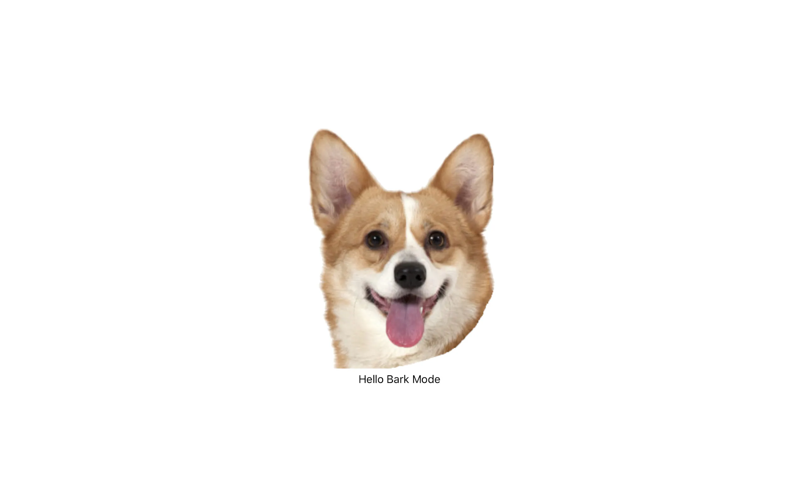 Screenshot 3 of BarkMode