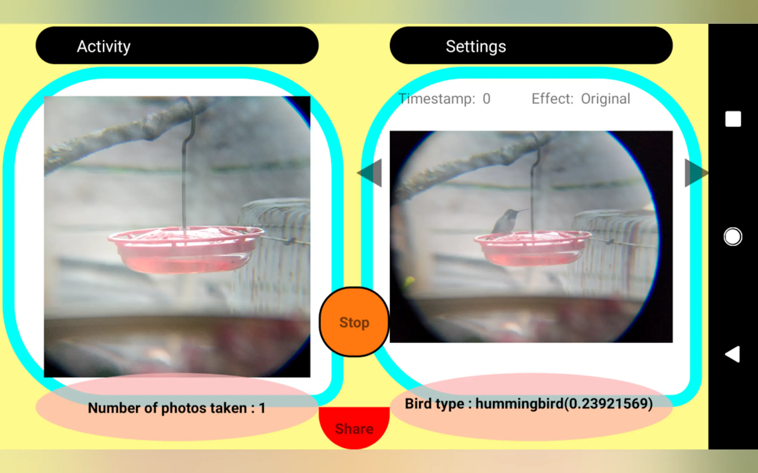 Screenshot 2 of Birdfie