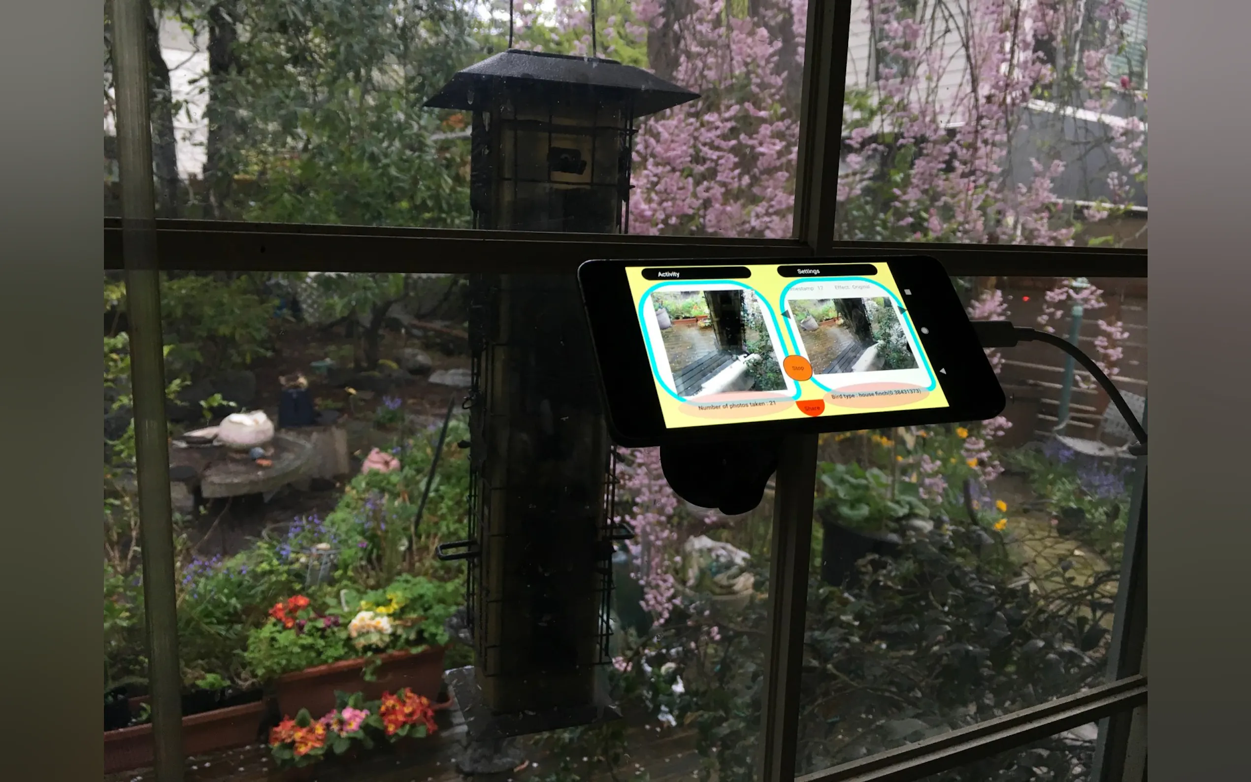 Screenshot 3 of Birdfie