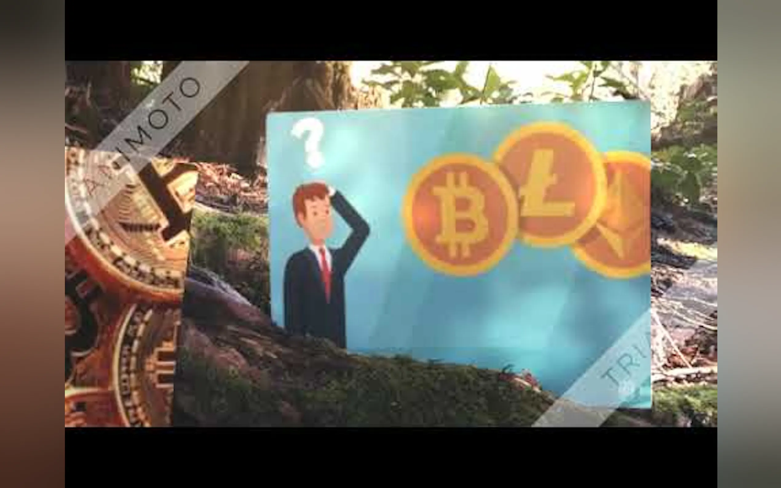 Bitcoin Revival Pro?