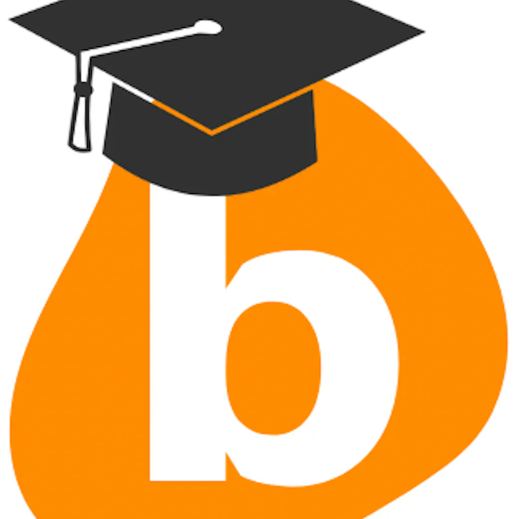 BlobCity Academy