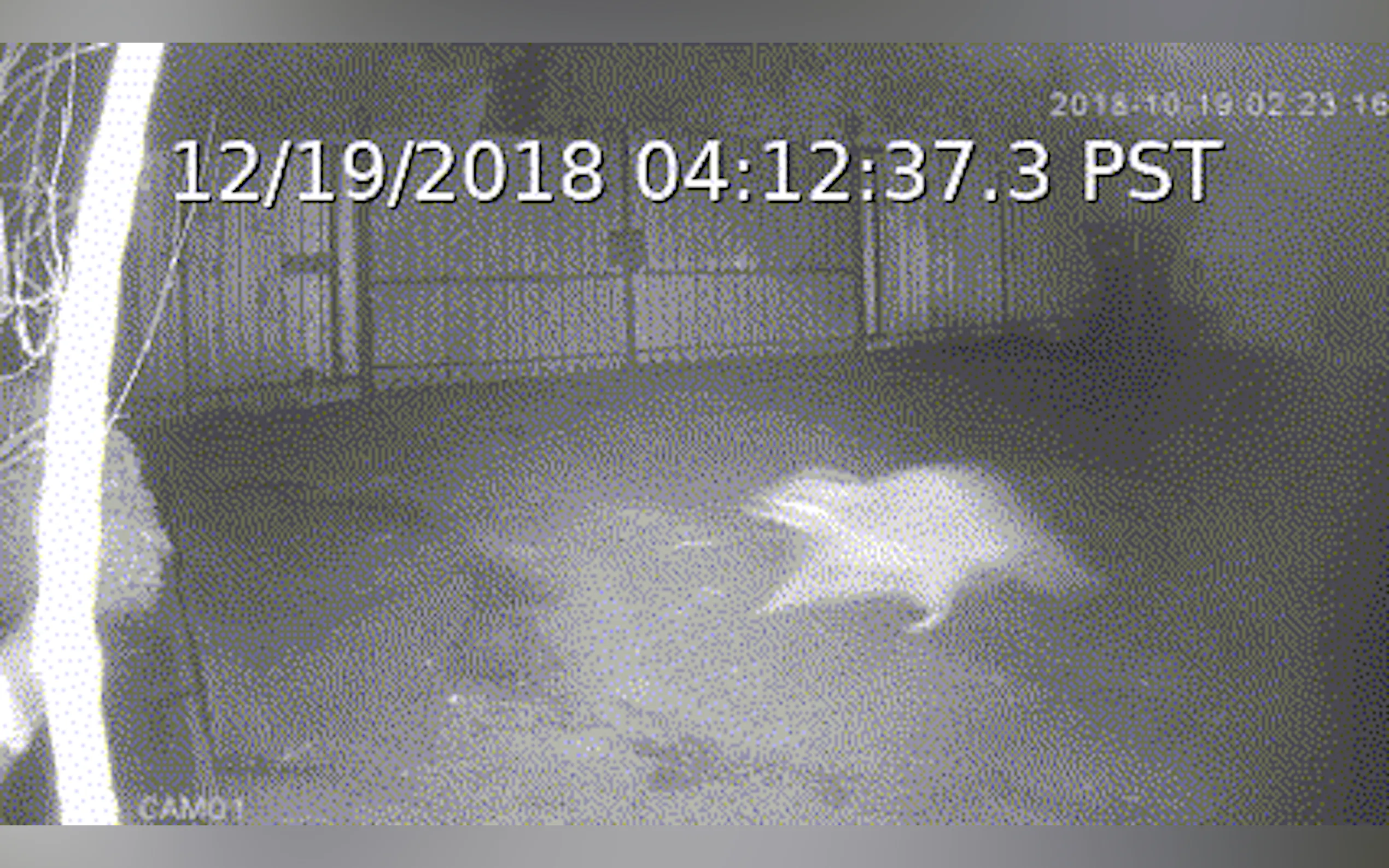 Screenshot 3 of Camect