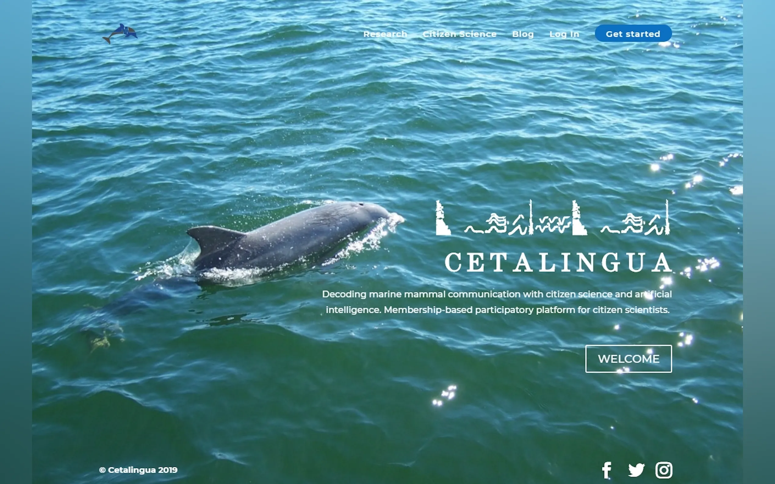 Cetalingua Project