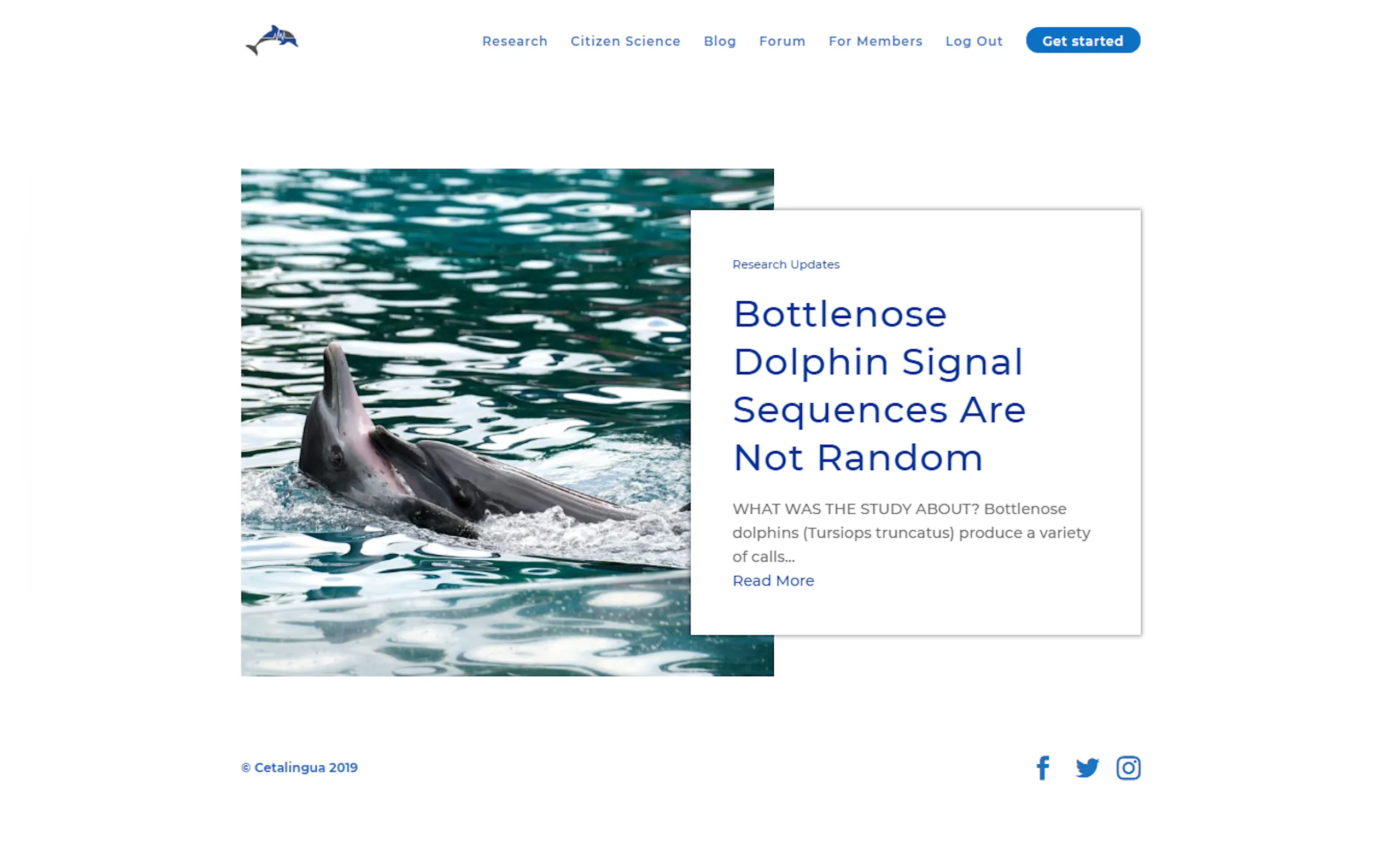 Screenshot 2 of Cetalingua Project