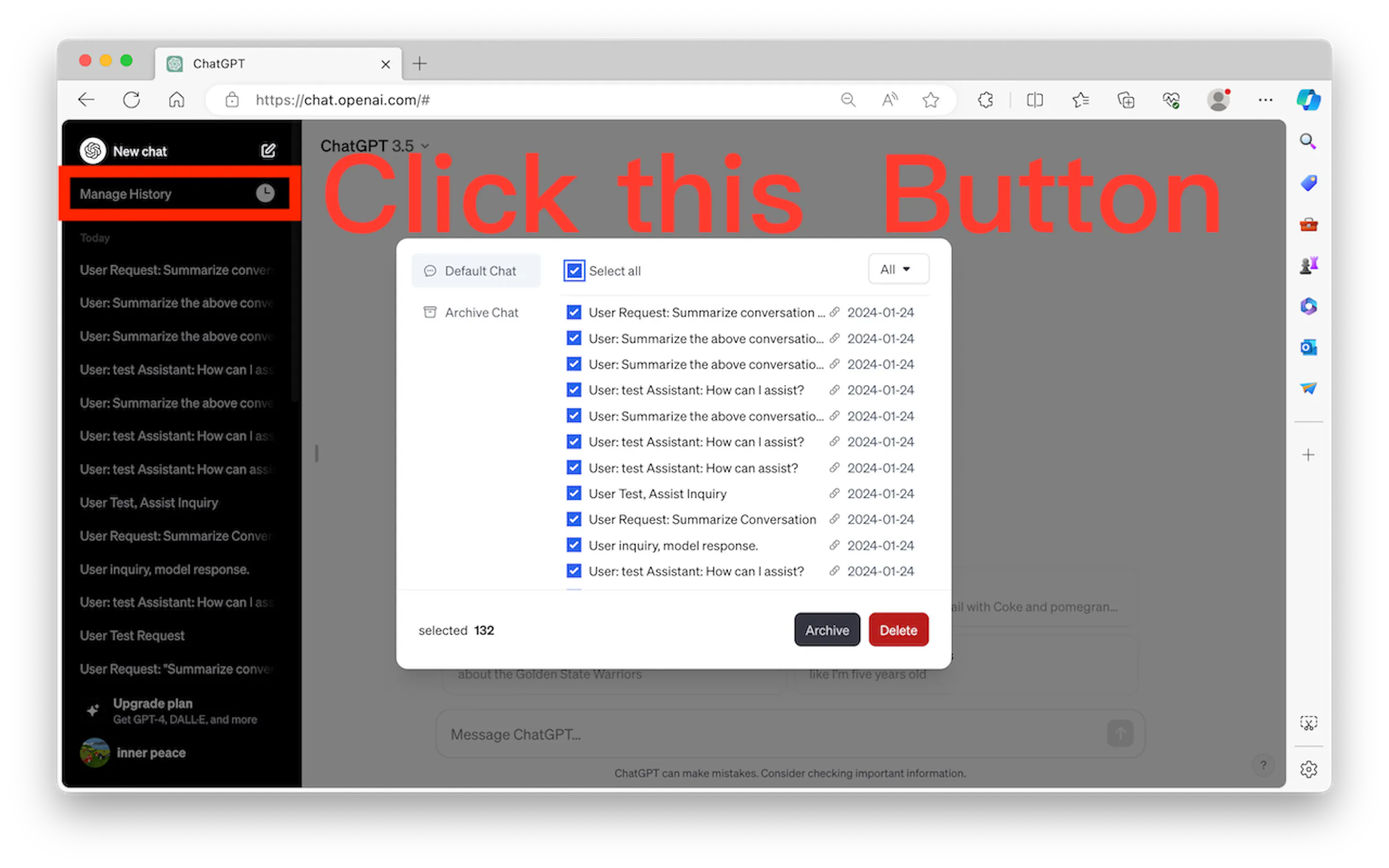 ChatGTP Batch Delete History