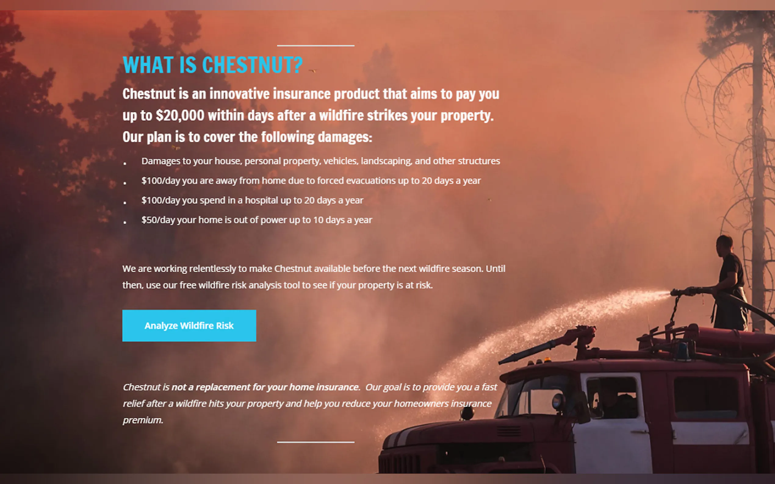 Screenshot 3 of Chestnut