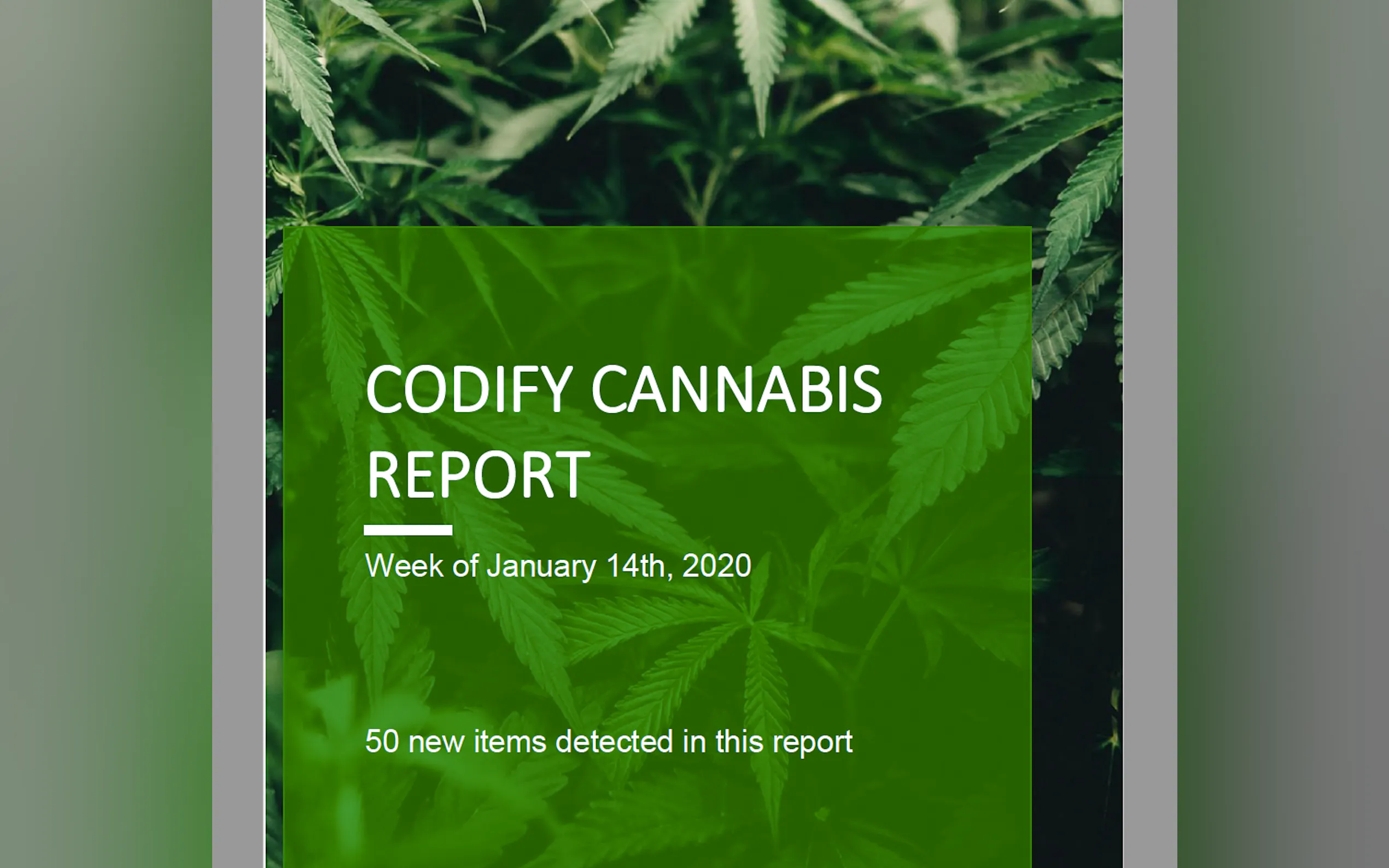Codify Updates - Weekly Cannabis Report