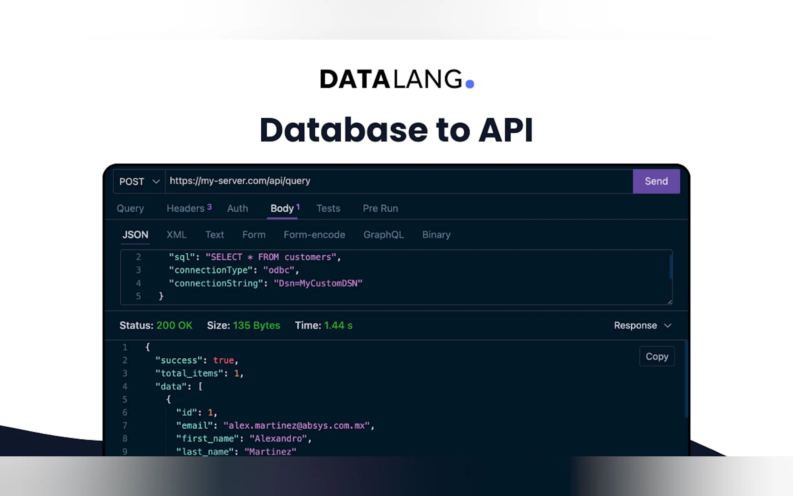 Screenshot 5 of DataLang