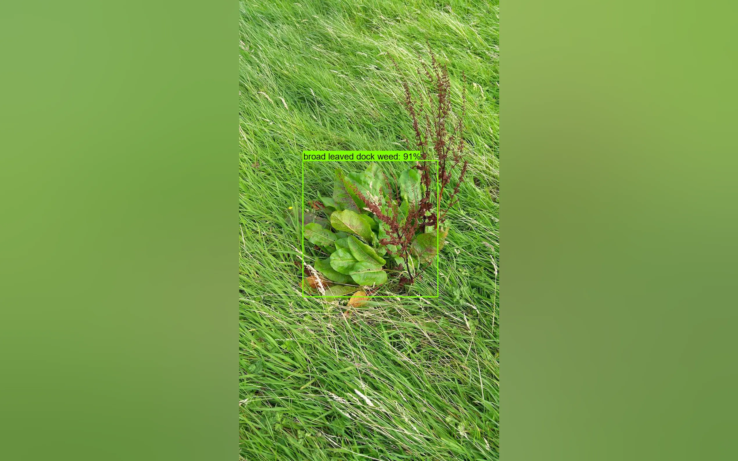 Screenshot 14 of Diffgram