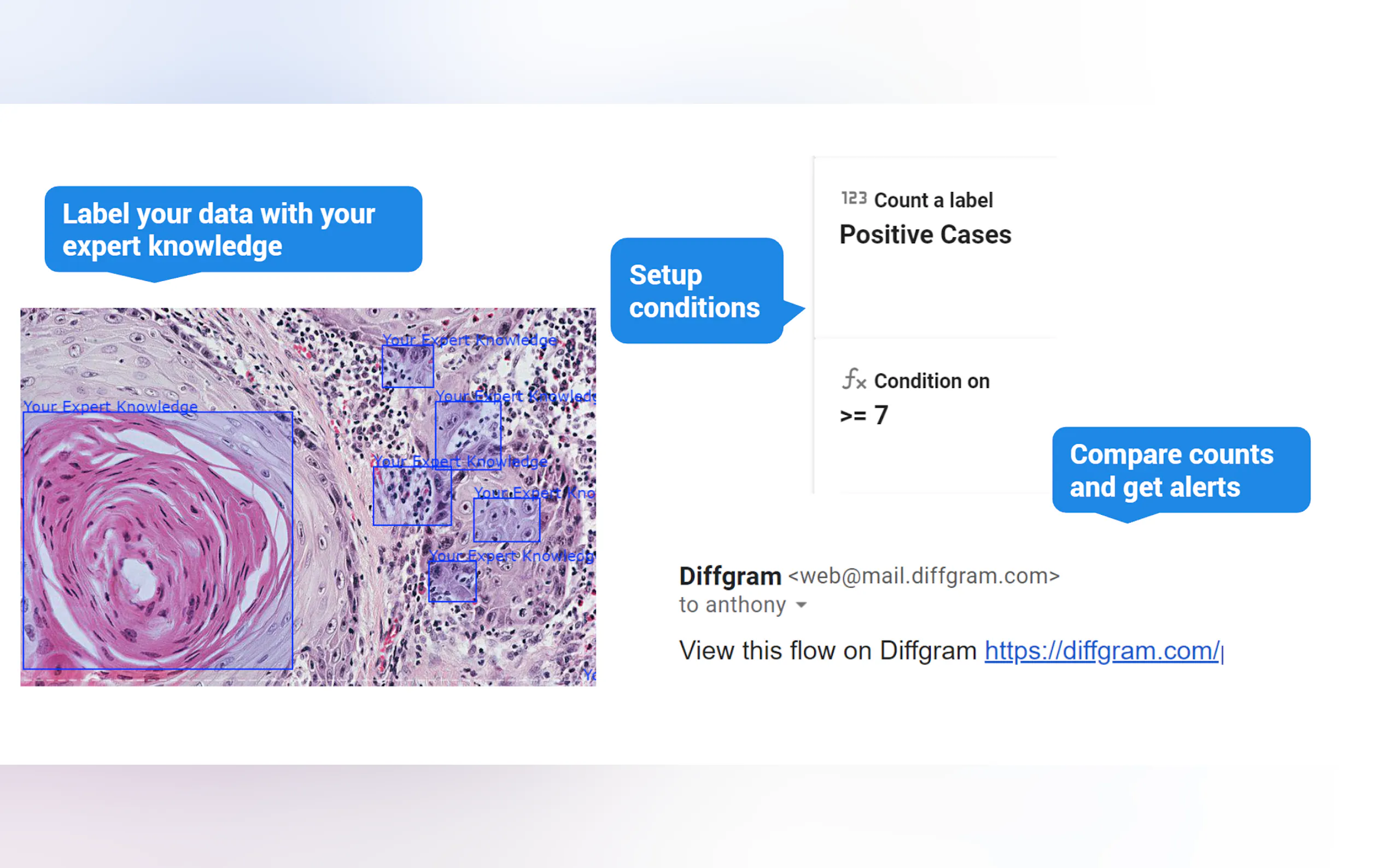 Screenshot 4 of Diffgram