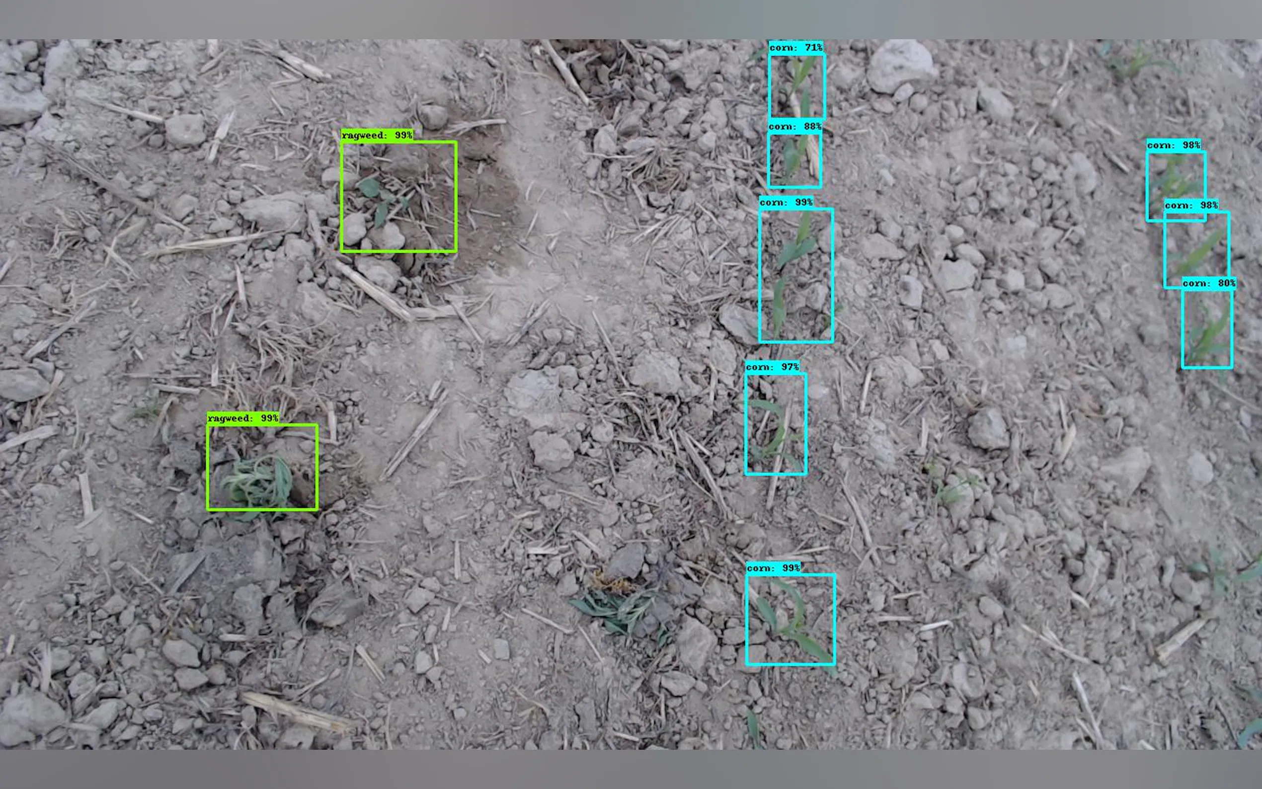 Screenshot 7 of Diffgram