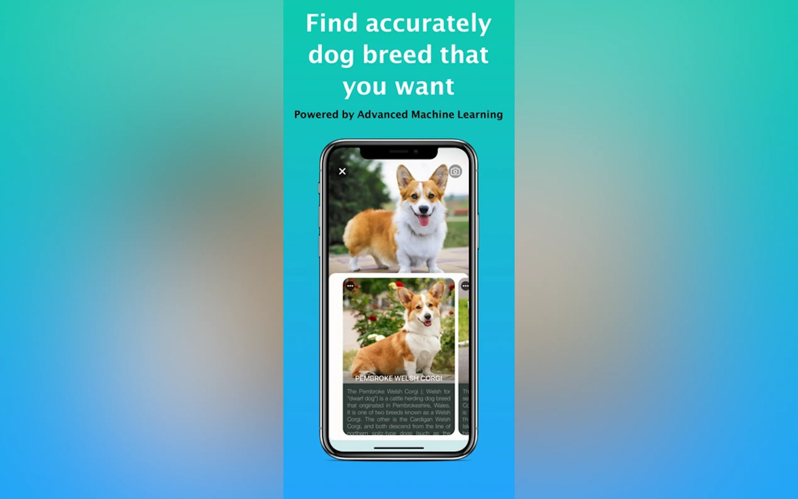 Screenshot 2 of Dog Identifier - Dog Scanner
