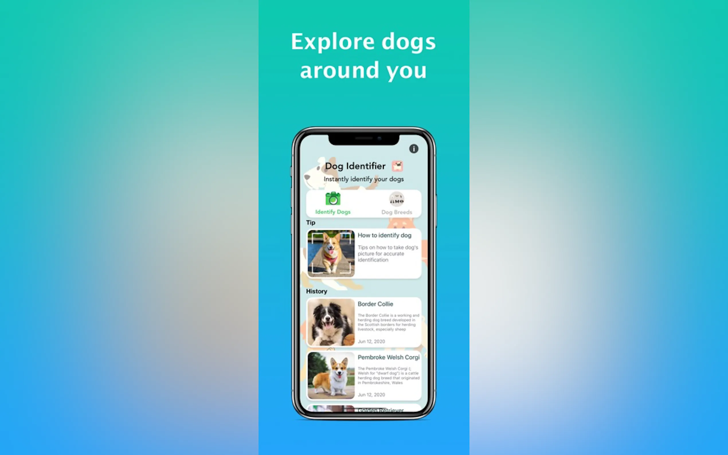 Screenshot 3 of Dog Identifier - Dog Scanner