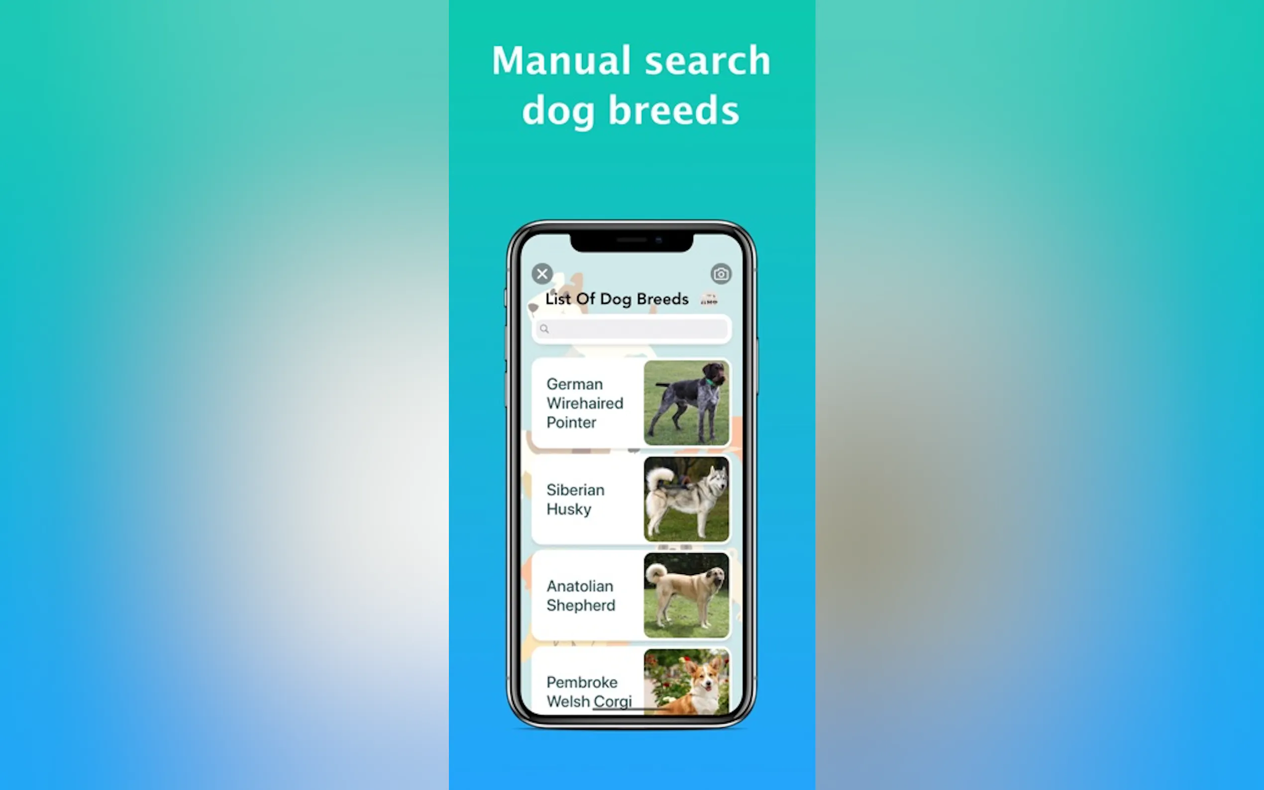 Screenshot 5 of Dog Identifier - Dog Scanner