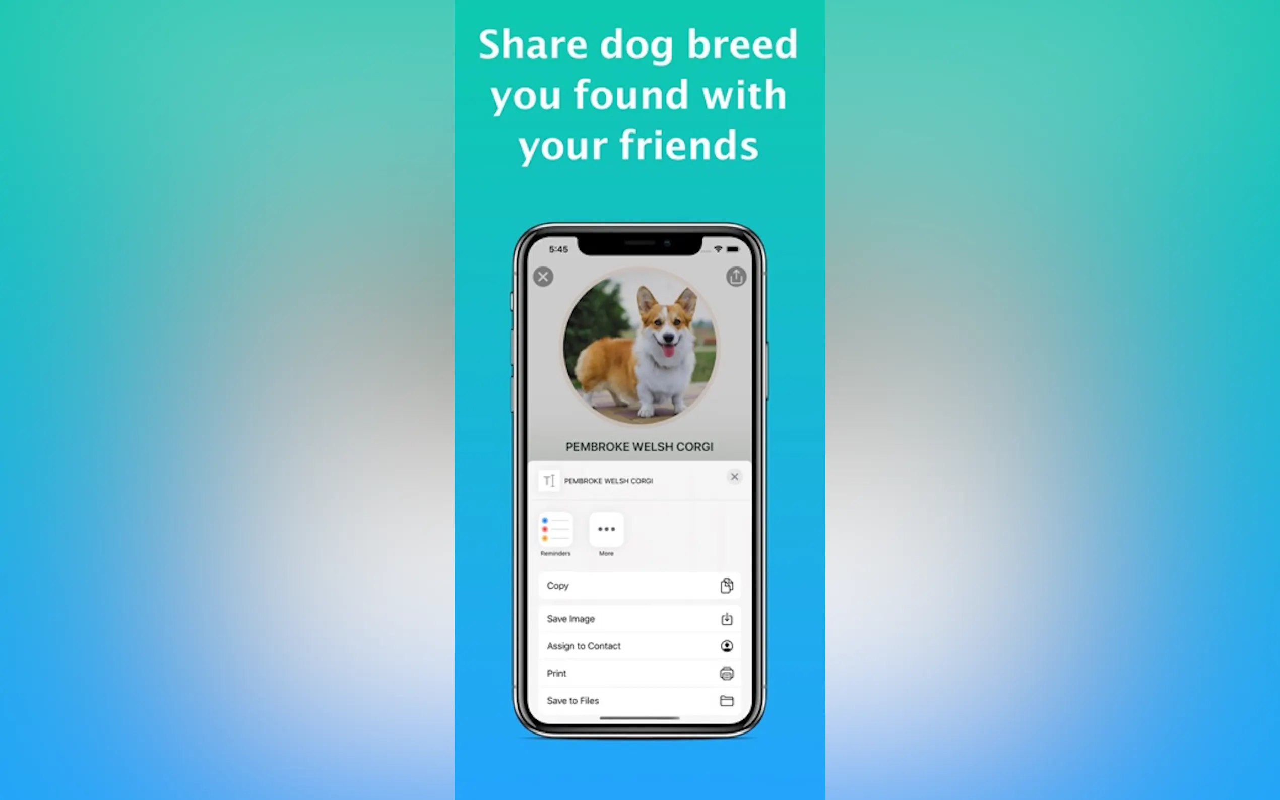 Screenshot 6 of Dog Identifier - Dog Scanner