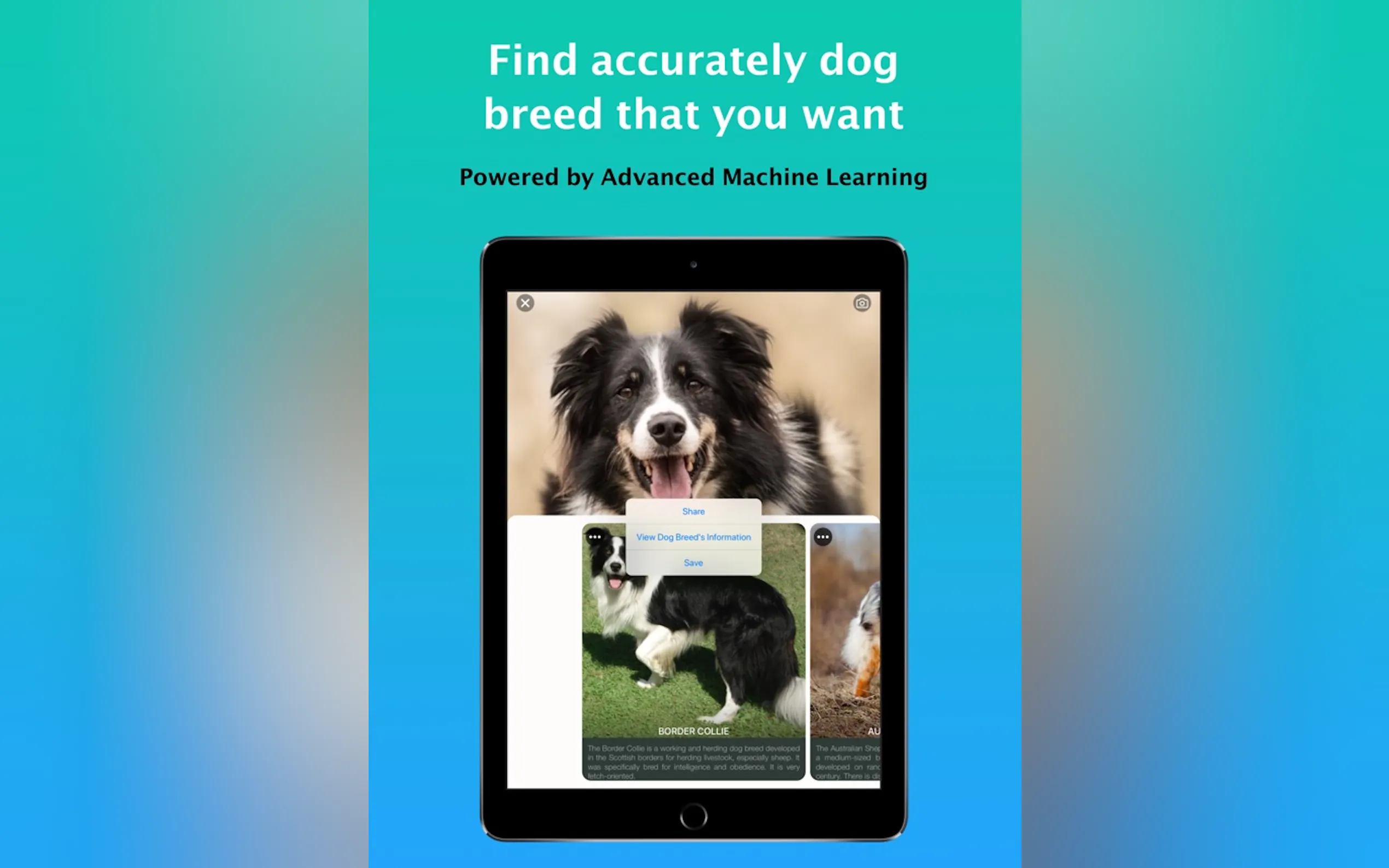 Screenshot 7 of Dog Identifier - Dog Scanner