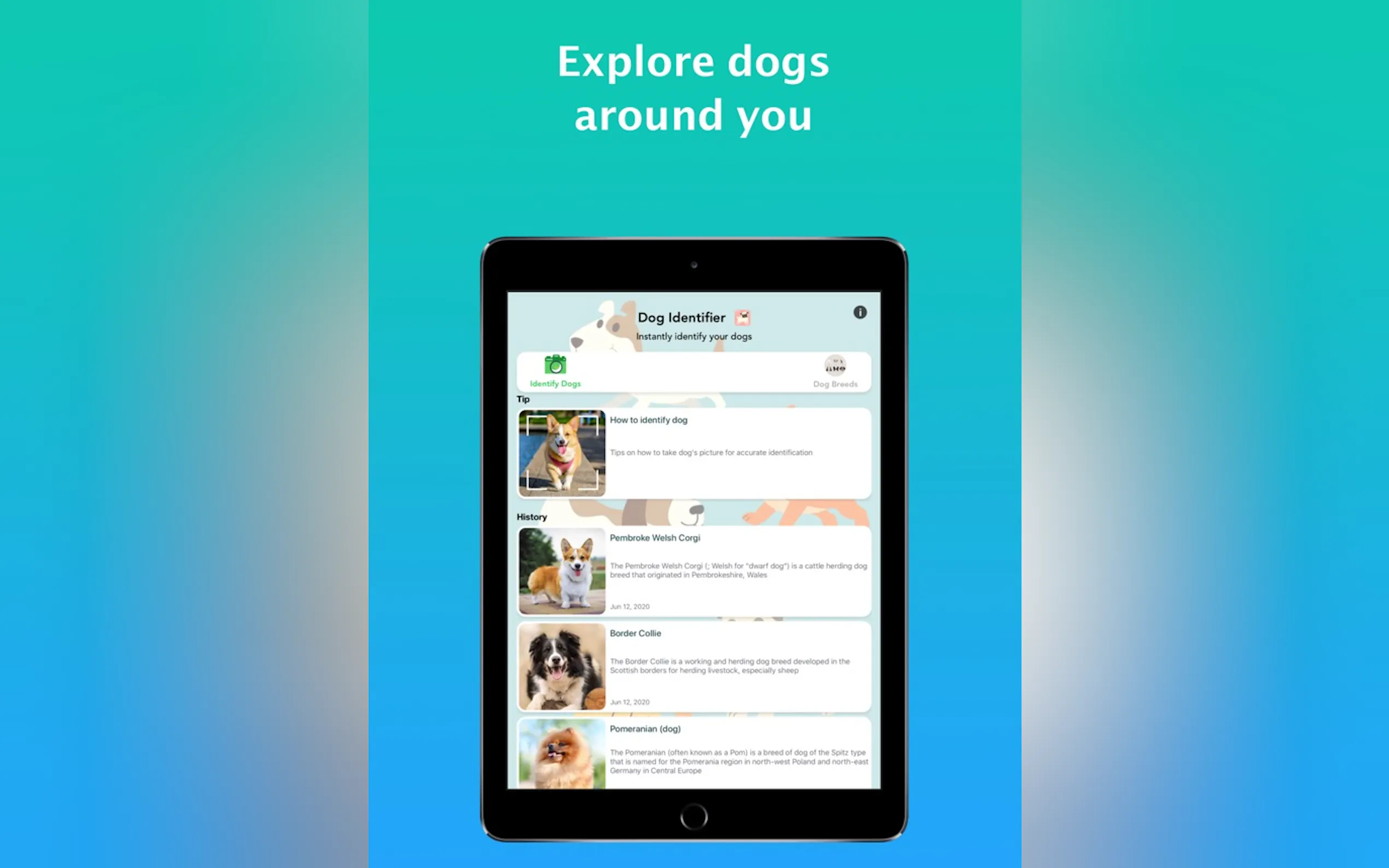 Screenshot 8 of Dog Identifier - Dog Scanner