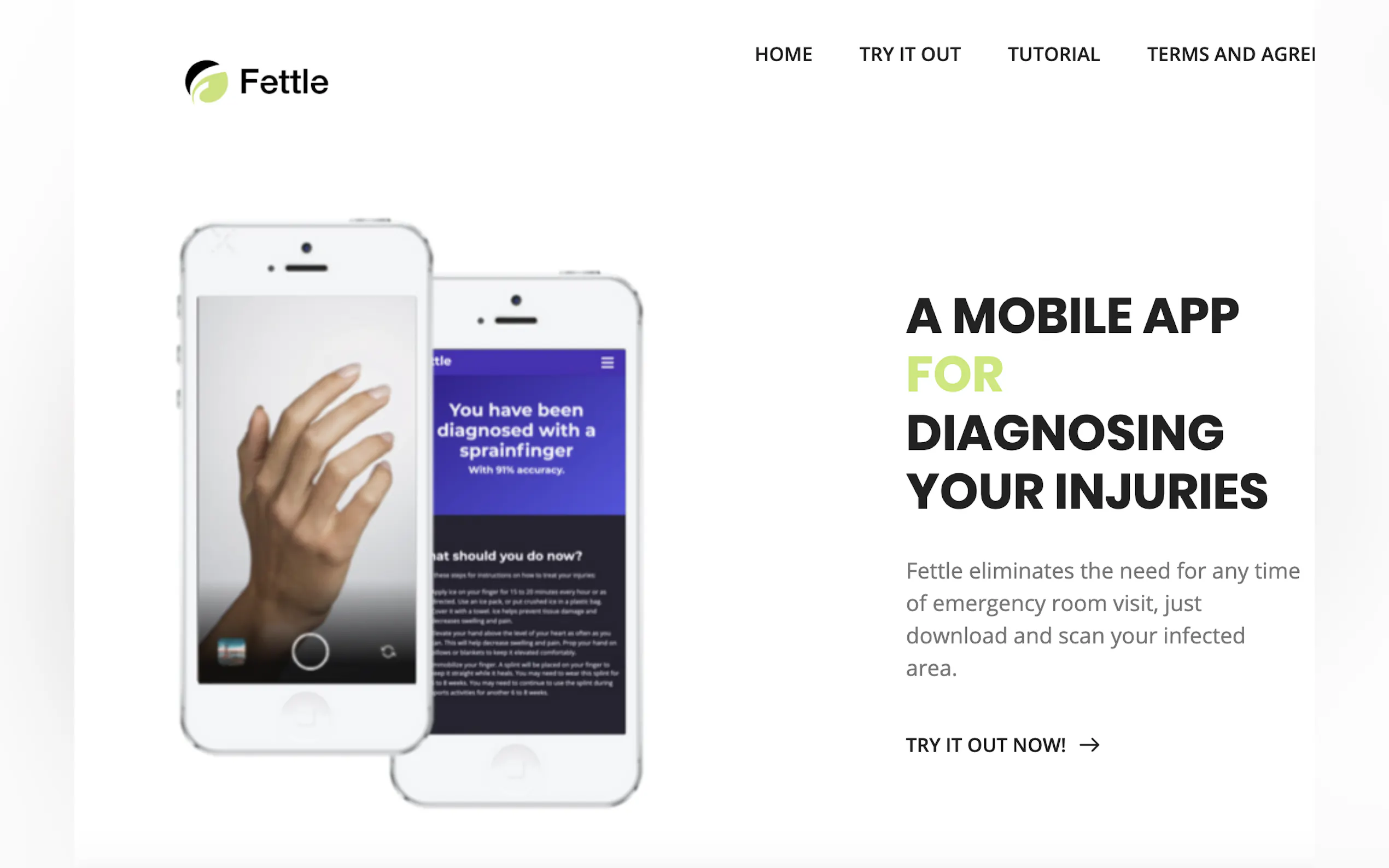 Screenshot 2 of Fettle Mobile Dignoses