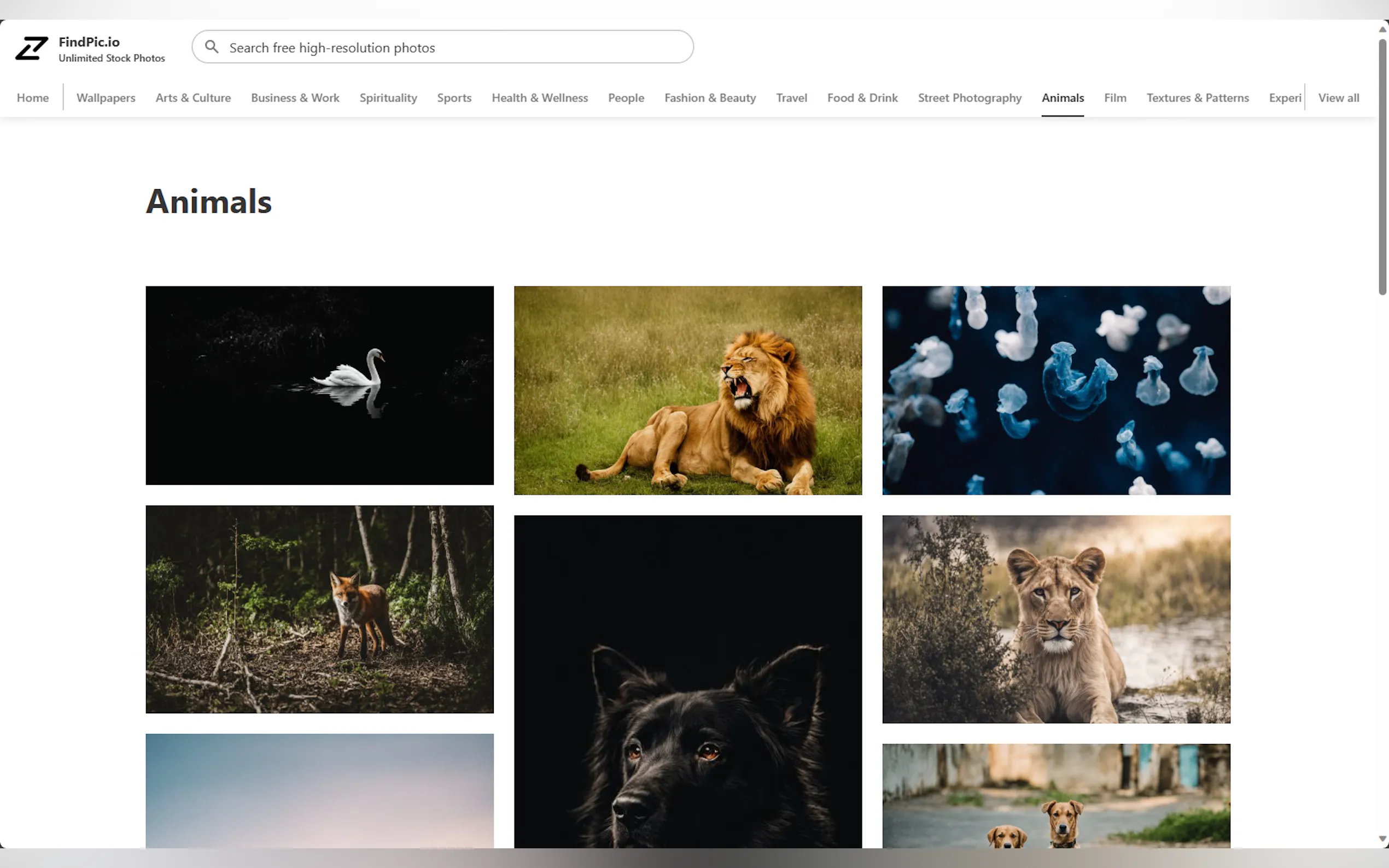 FindPic.io - Free Beautiful Stock Photos