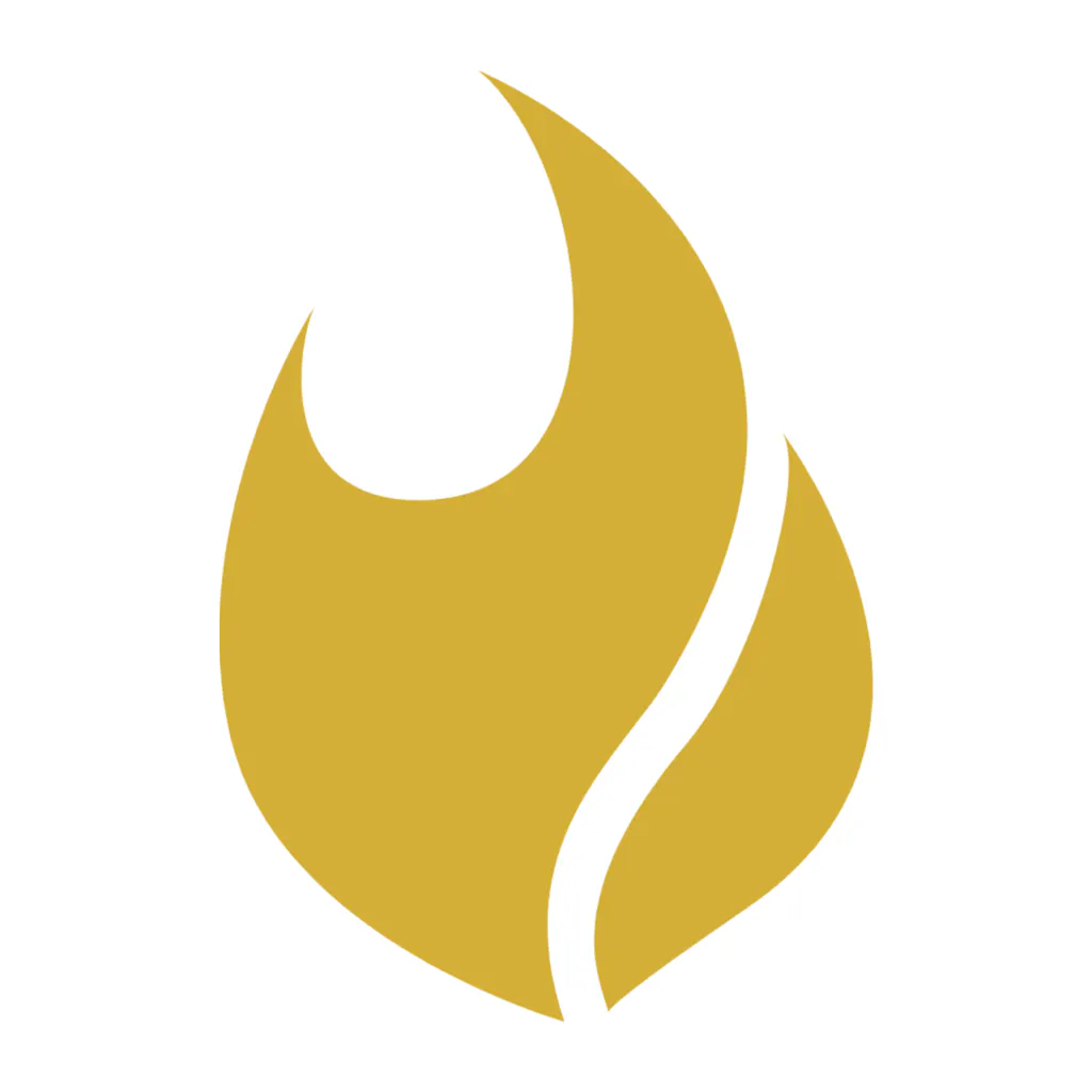 Logo of Flamel.ai