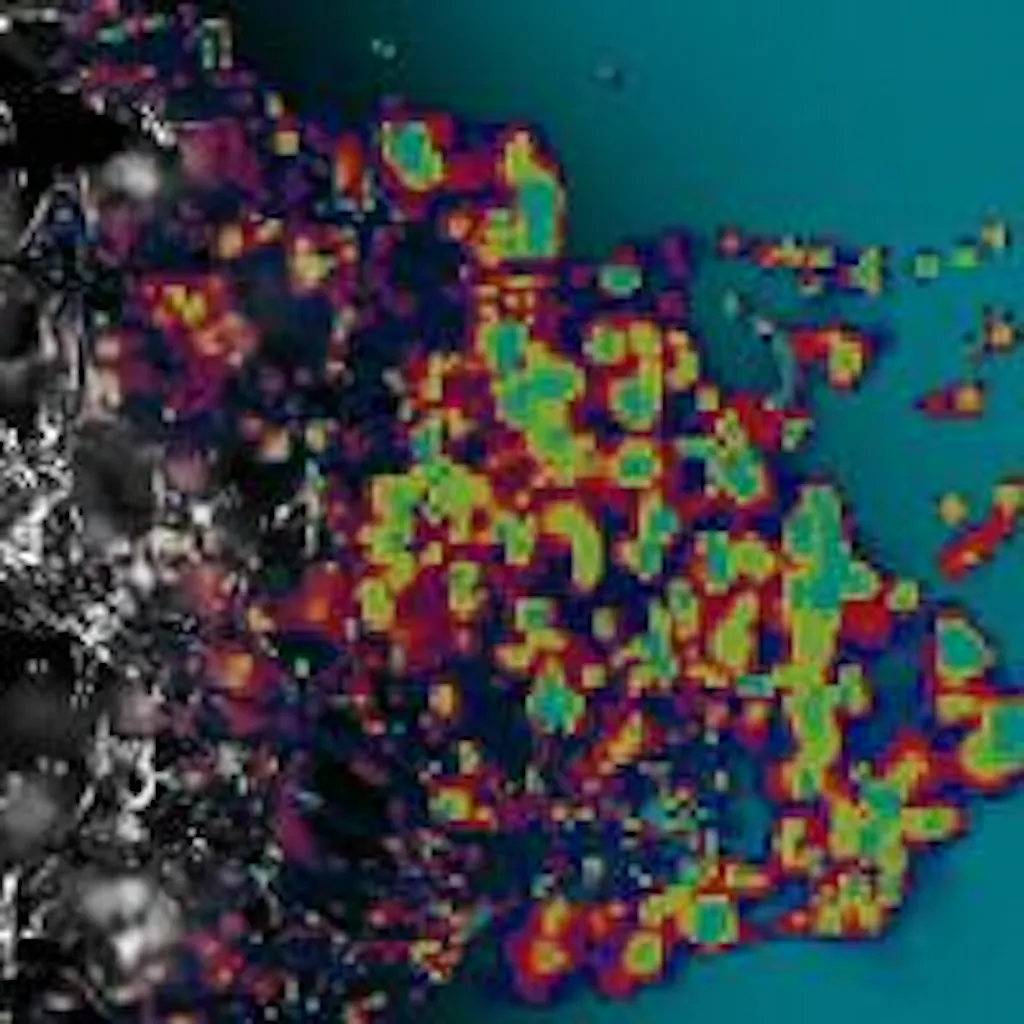 Fractal Flows
