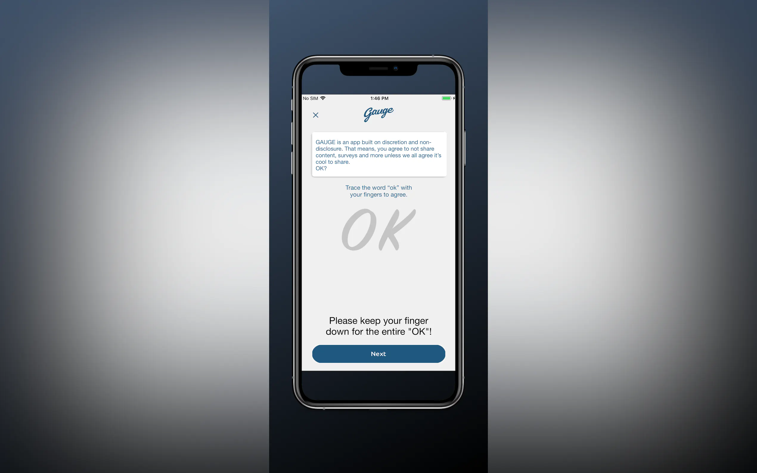 Screenshot 2 of Gauge App Beta