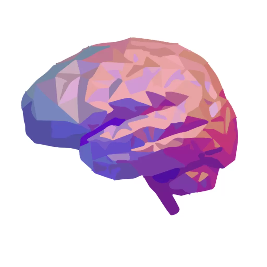Giga Brain