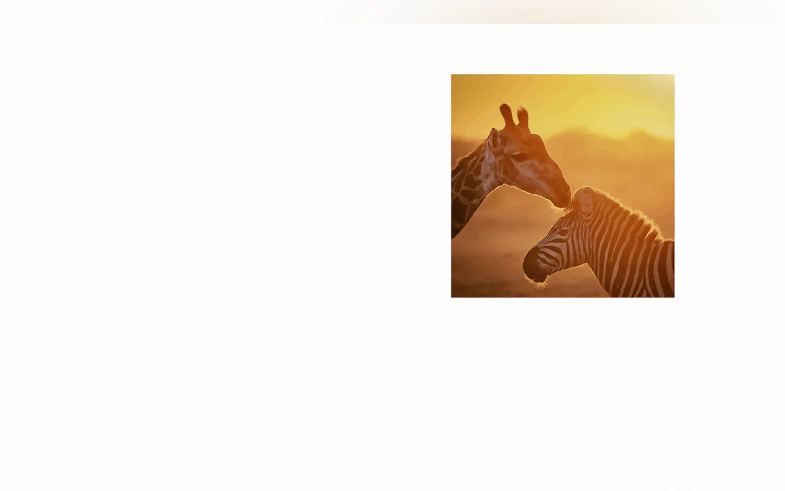Screenshot 7 of Imagen 2