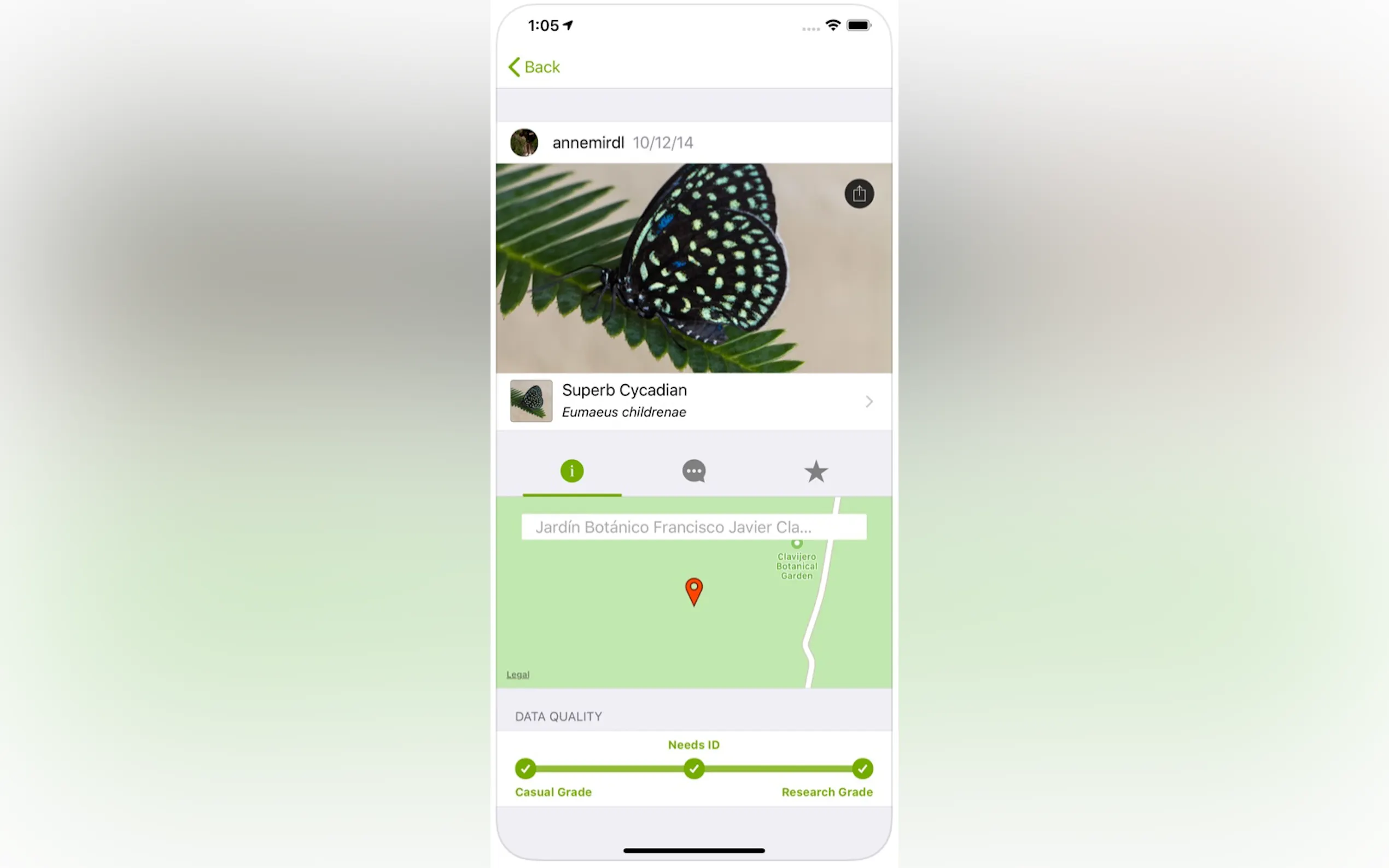 iNaturalist