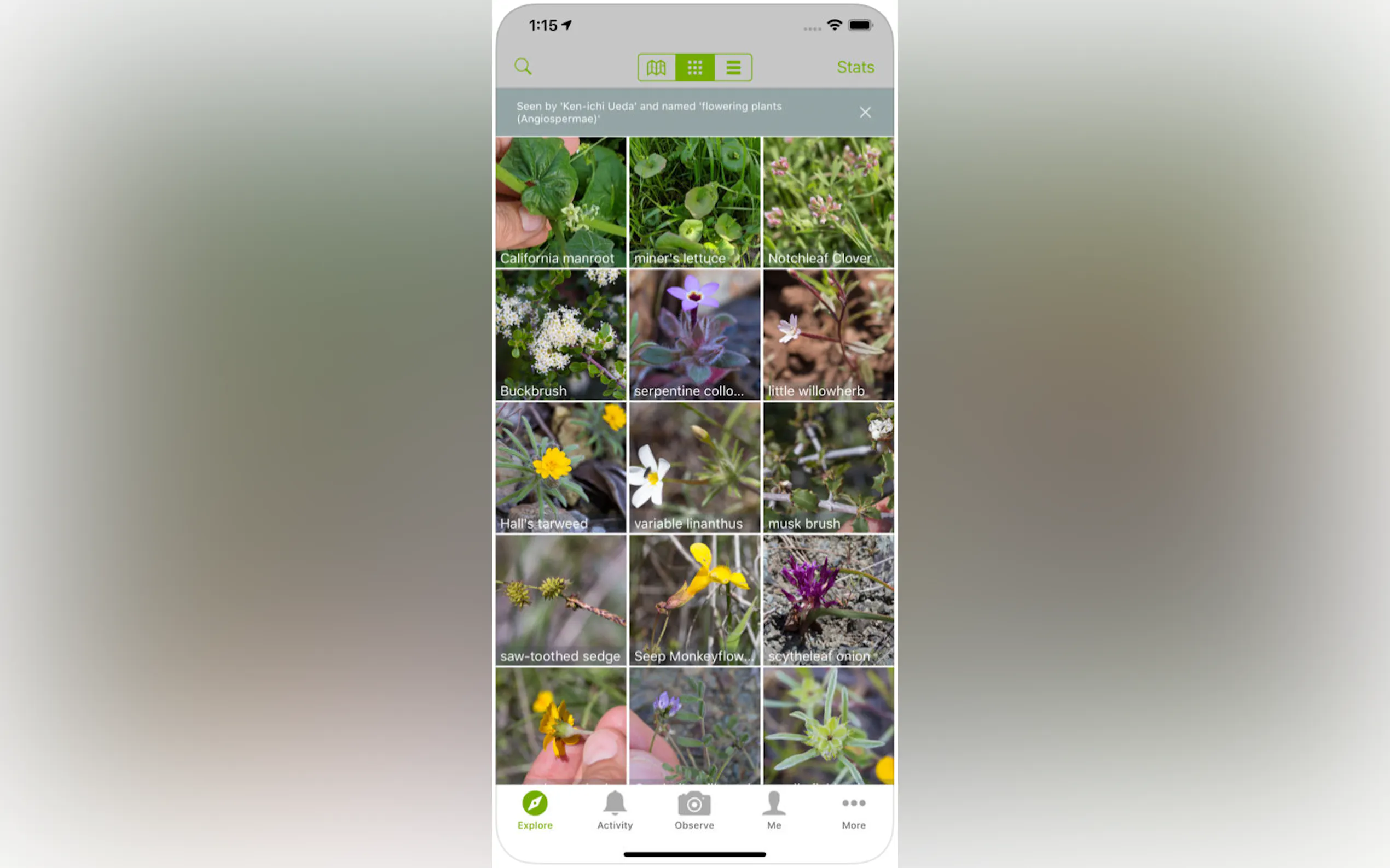 Screenshot 2 of iNaturalist