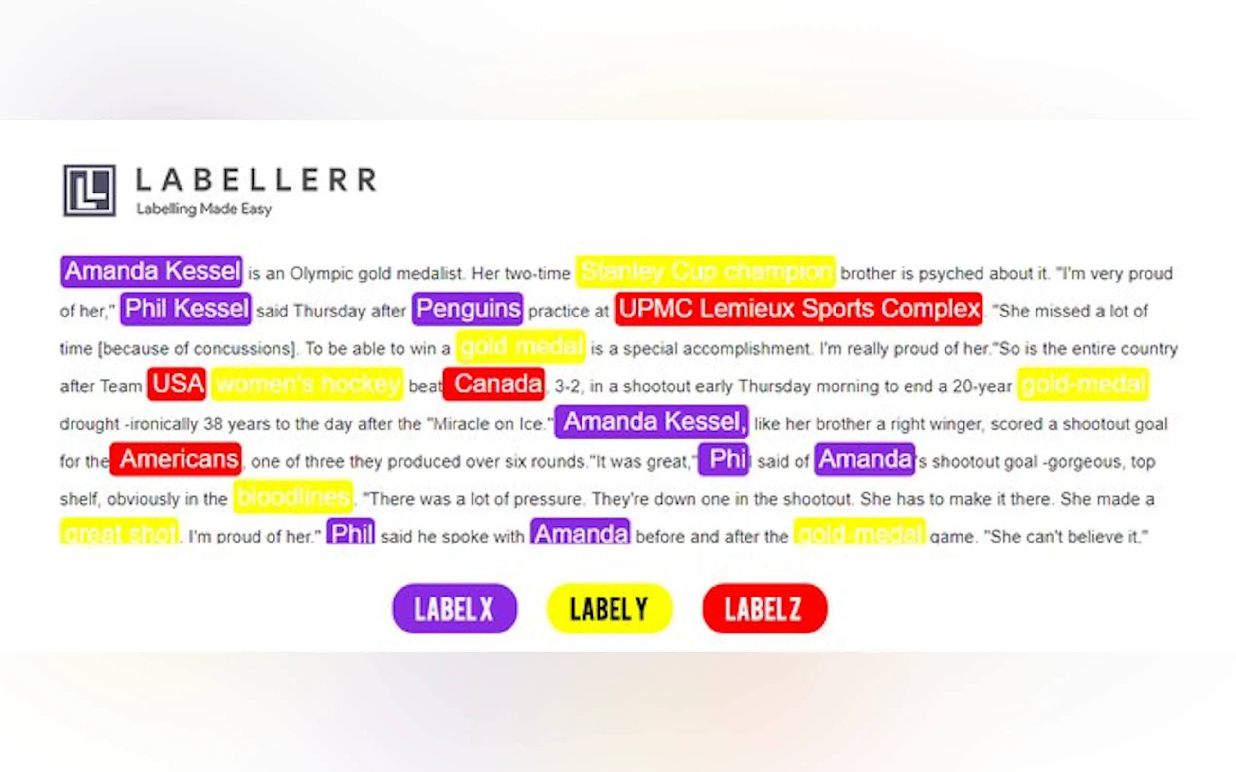Screenshot 2 of Labellerr