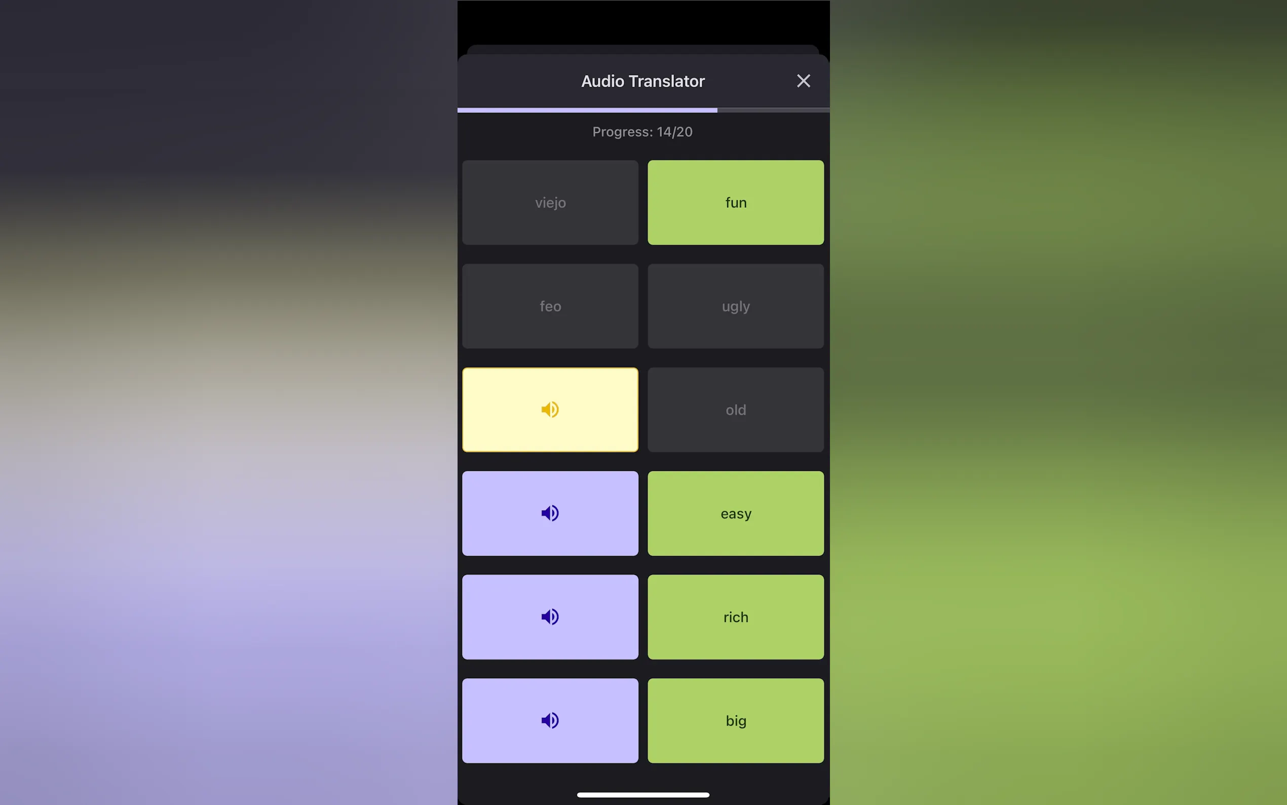 Screenshot 11 of LexiGym