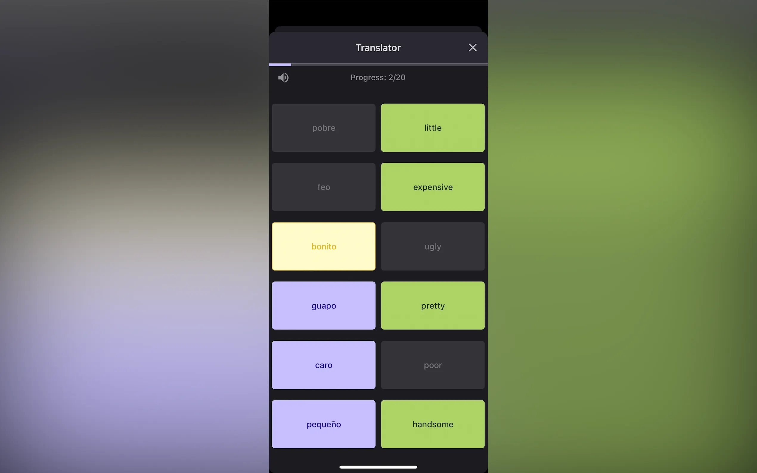 Screenshot 10 of LexiGym