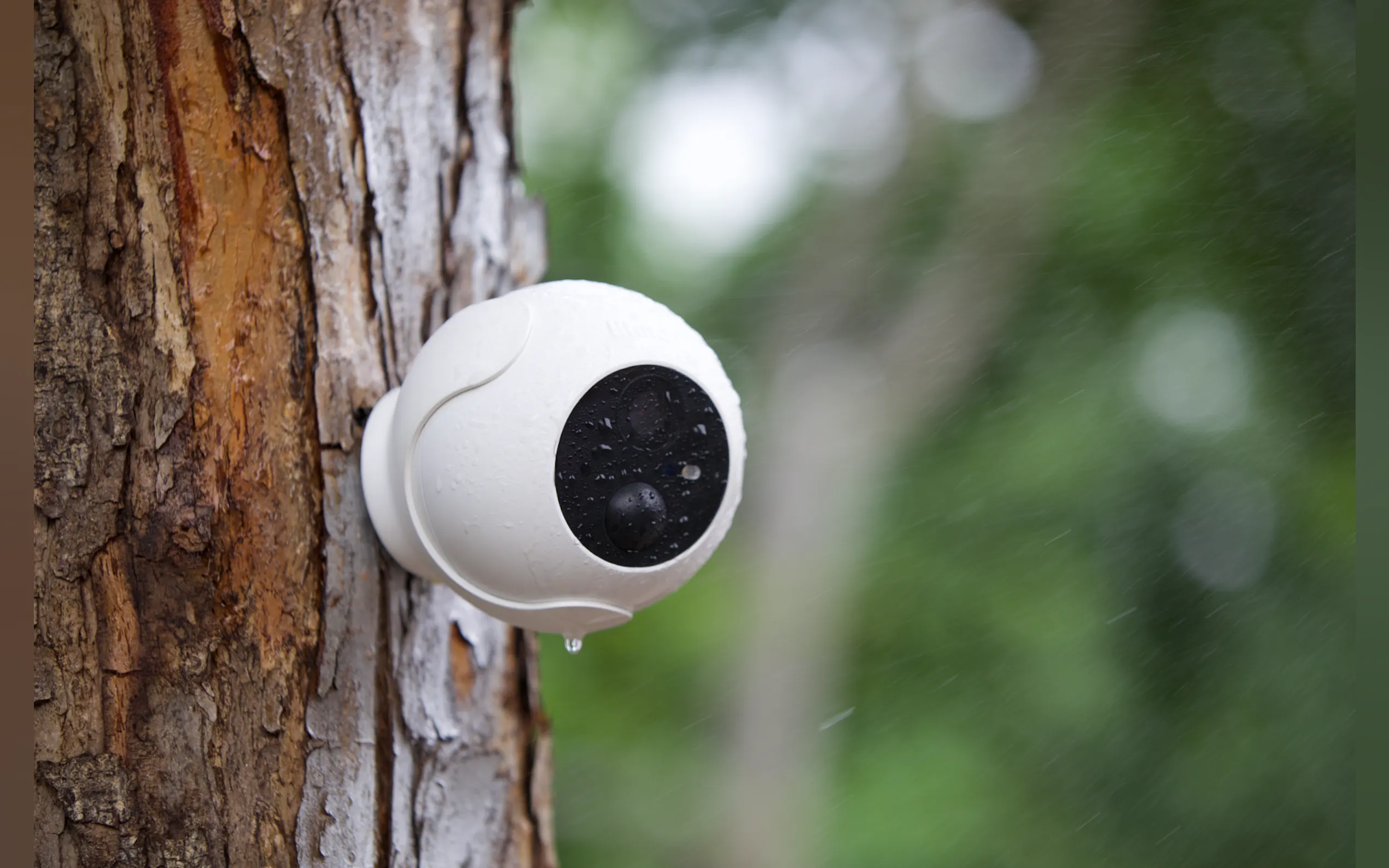 Screenshot 5 of Litmor Battery Cam