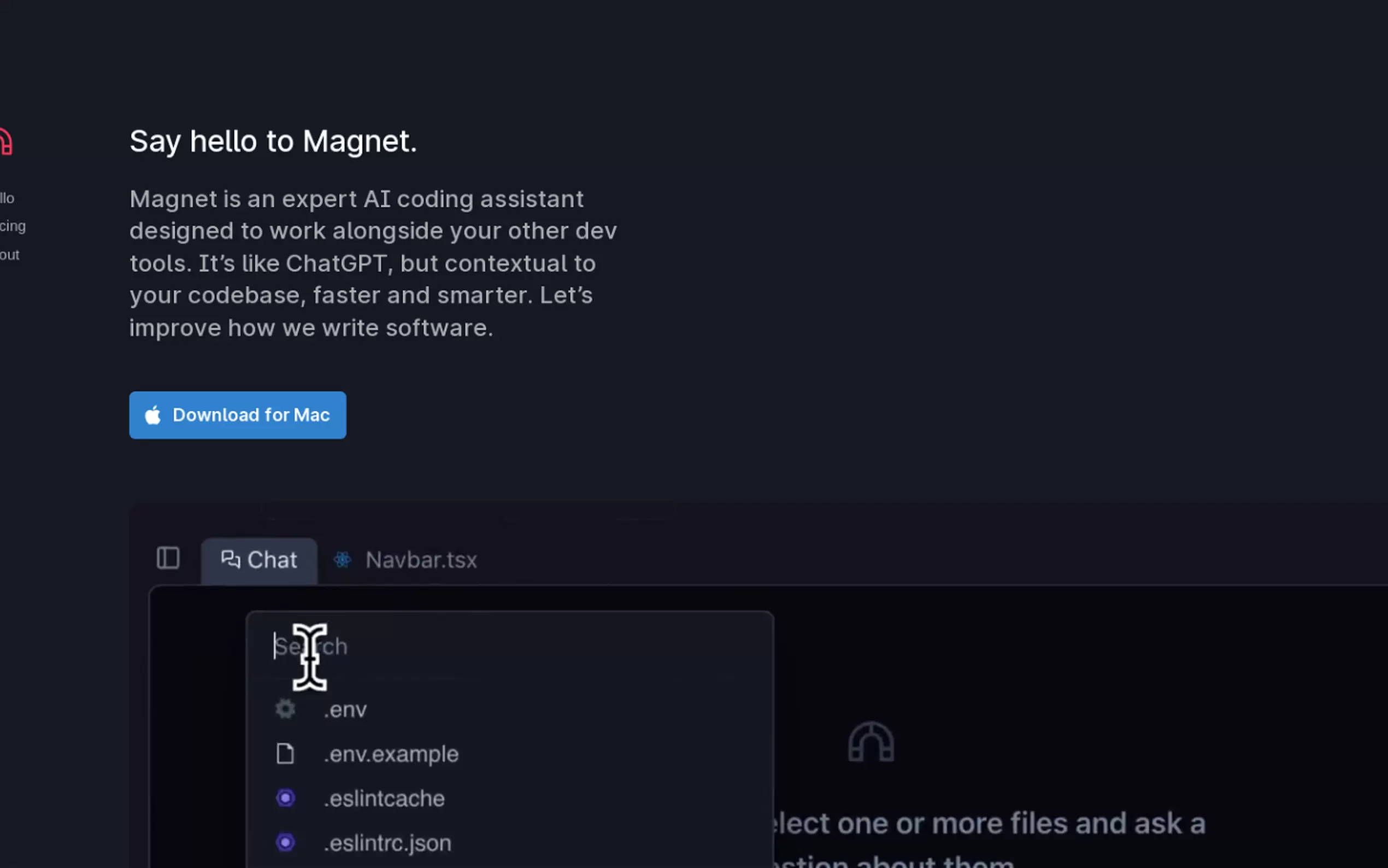 Magnet