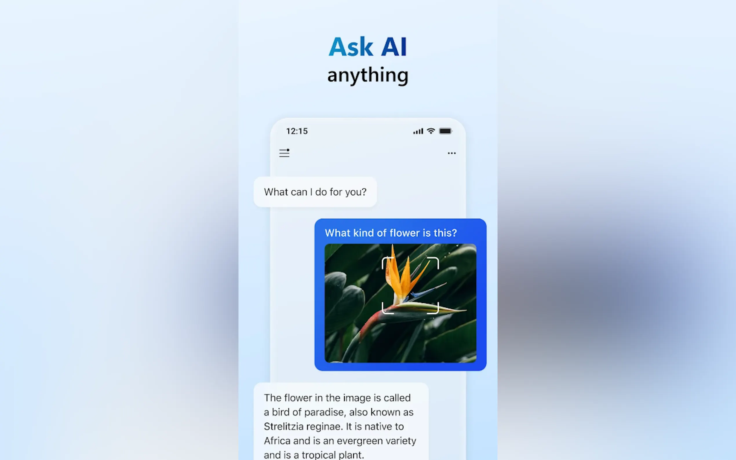 Screenshot 2 of Microsoft Copilot for Android