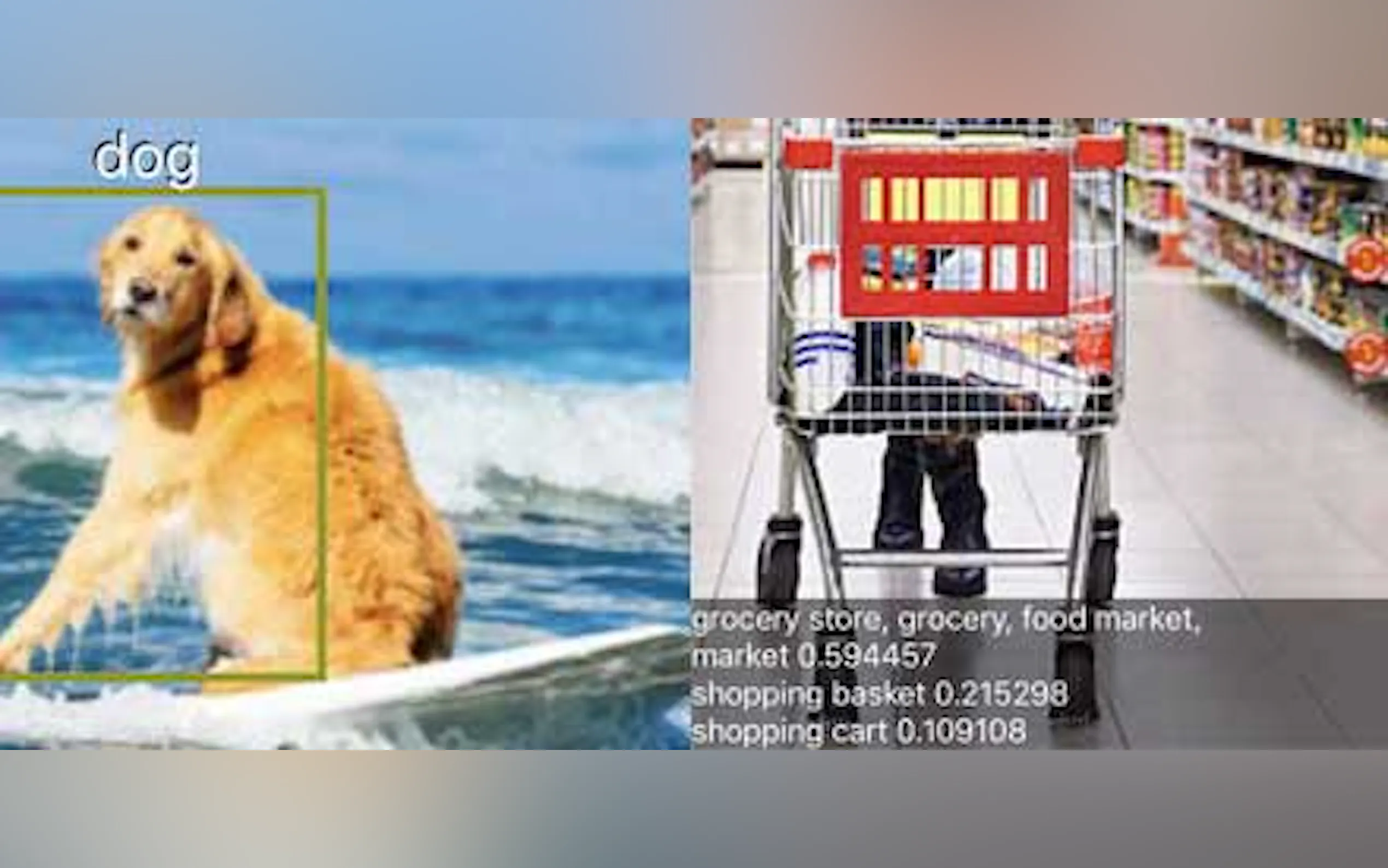 Screenshot 2 of MLModelZoo