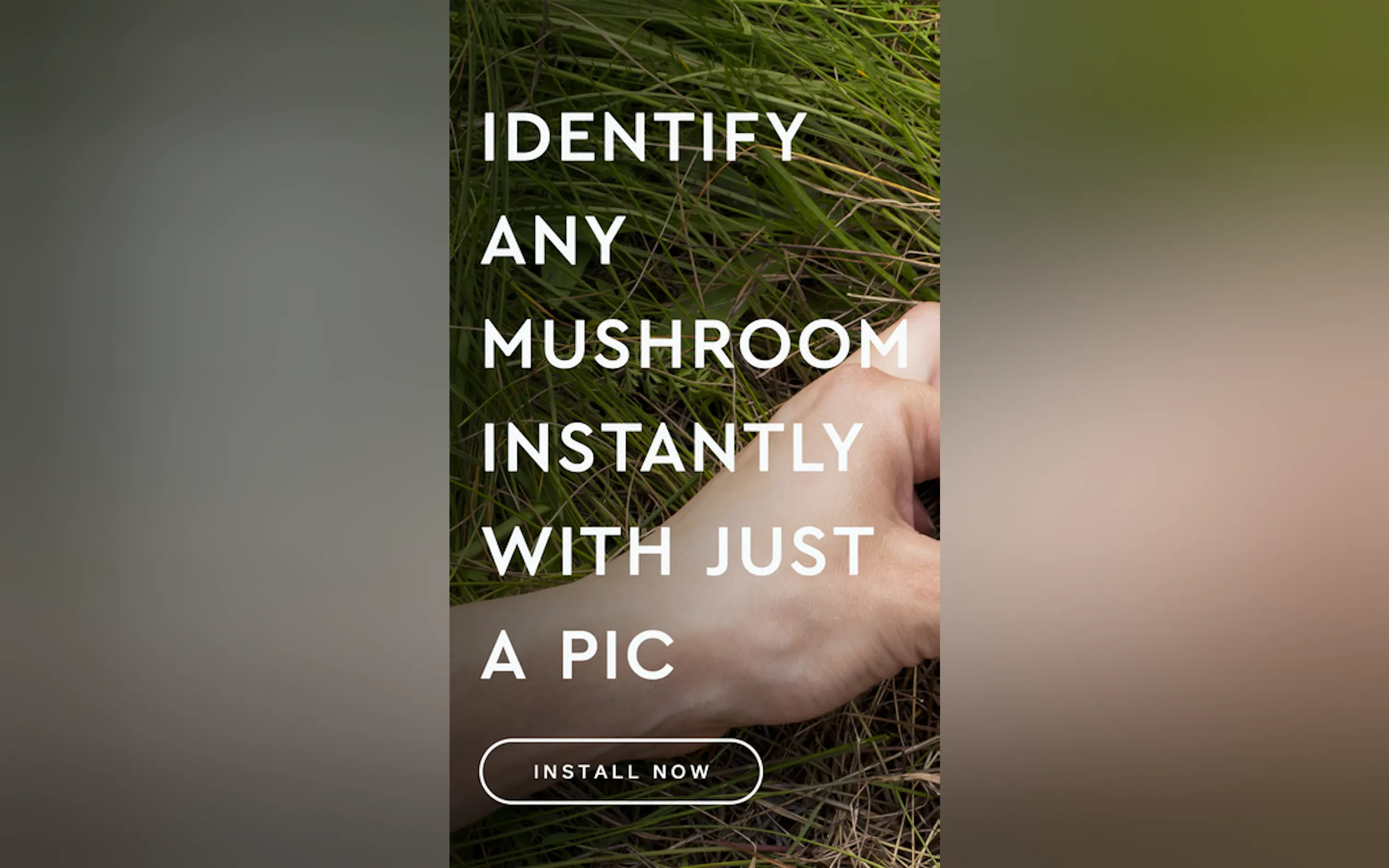 Screenshot 2 of Mushroom