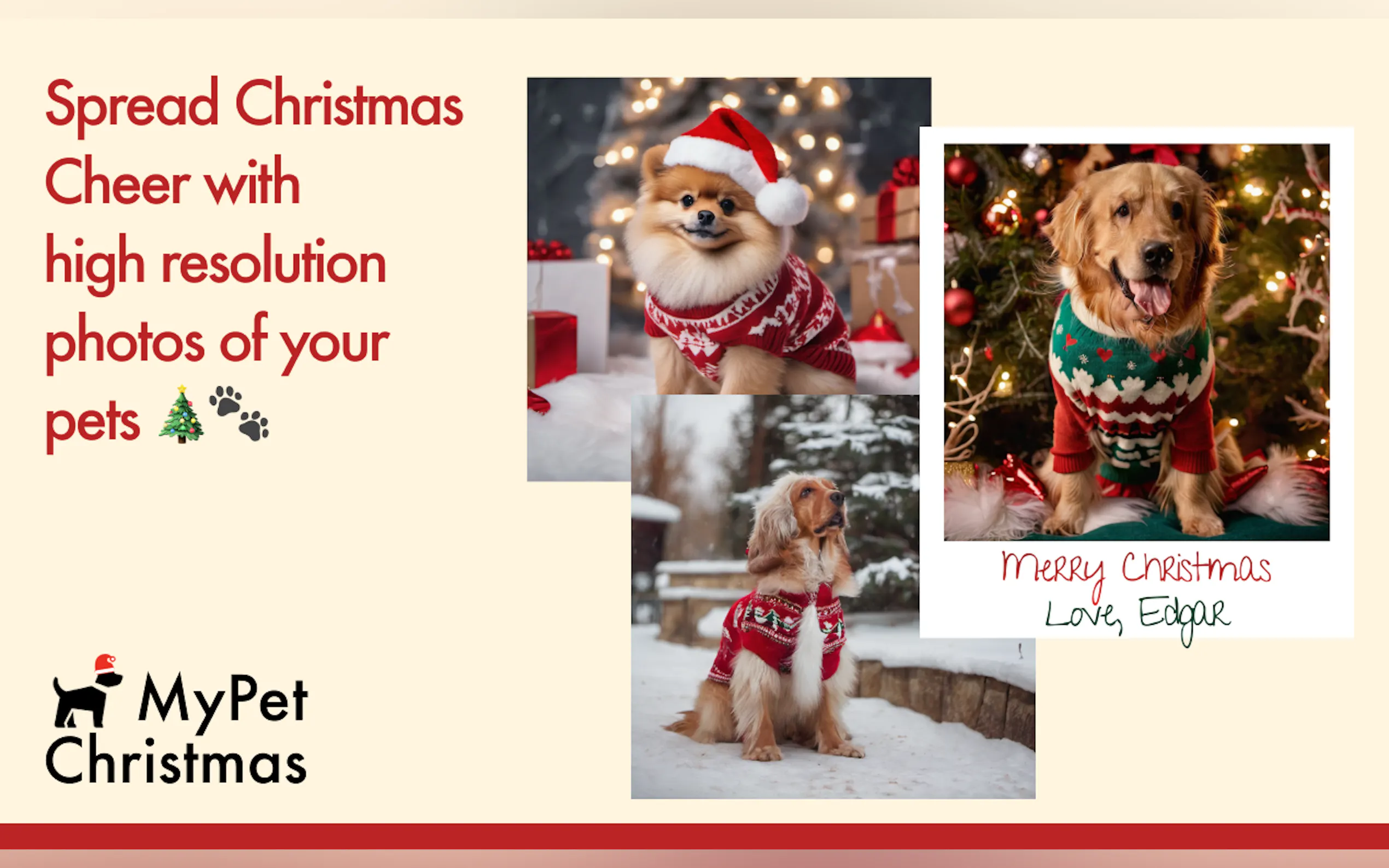 My Pet Christmas | High-res Pet Photos