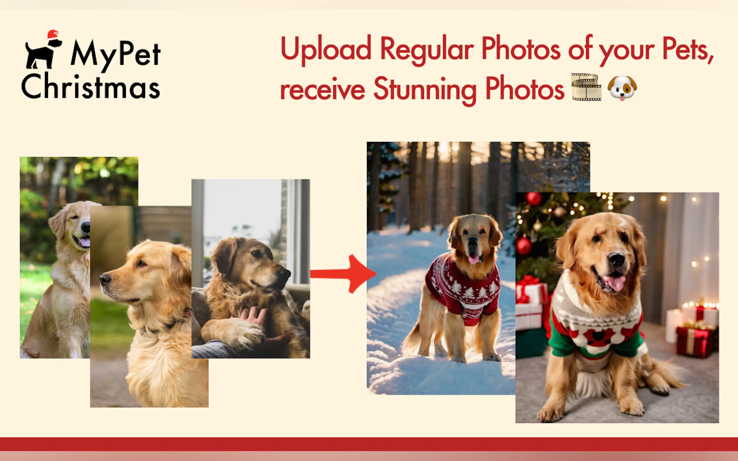 Screenshot 2 of My Pet Christmas | High-res Pet Photos