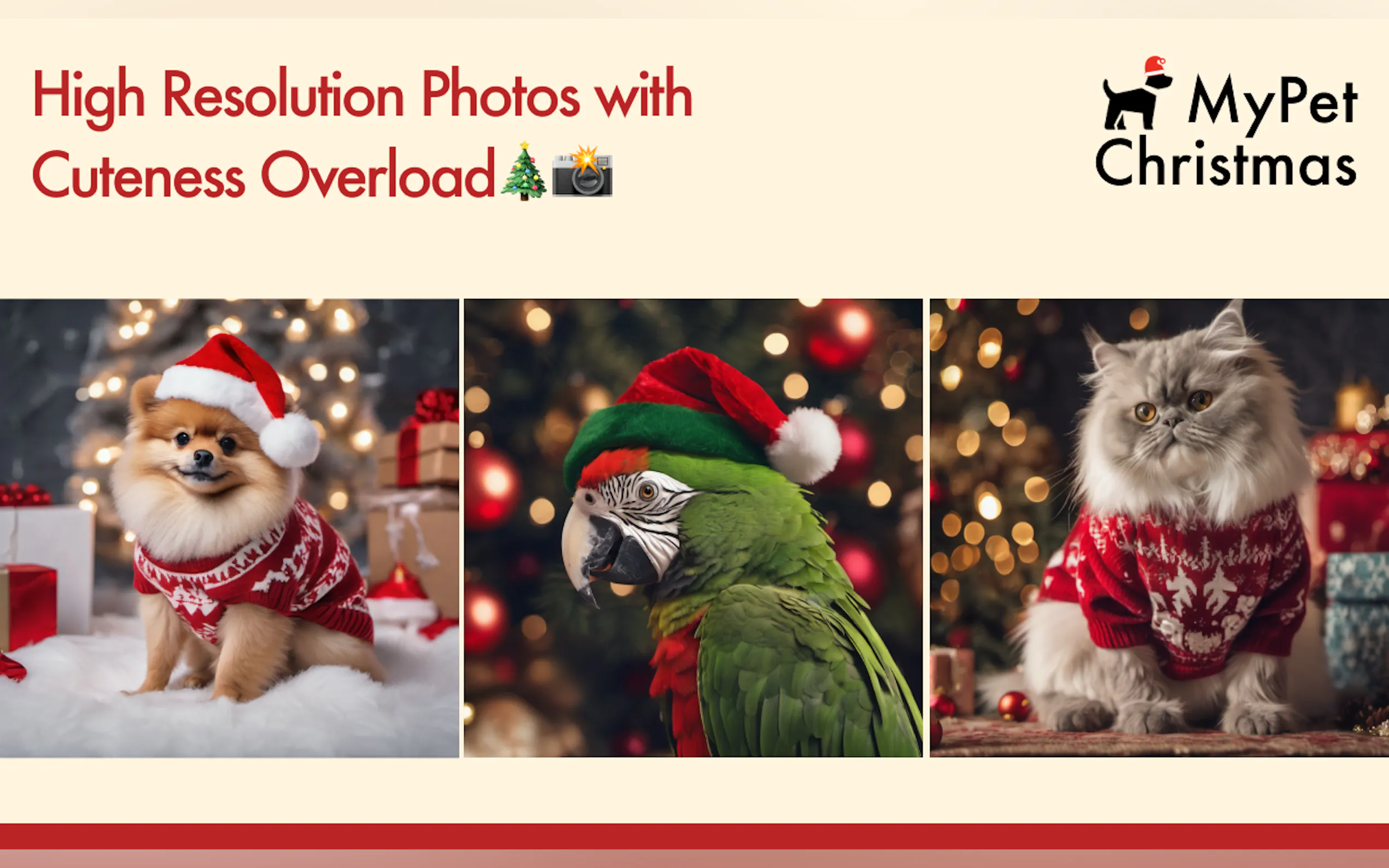 Screenshot 3 of My Pet Christmas | High-res Pet Photos
