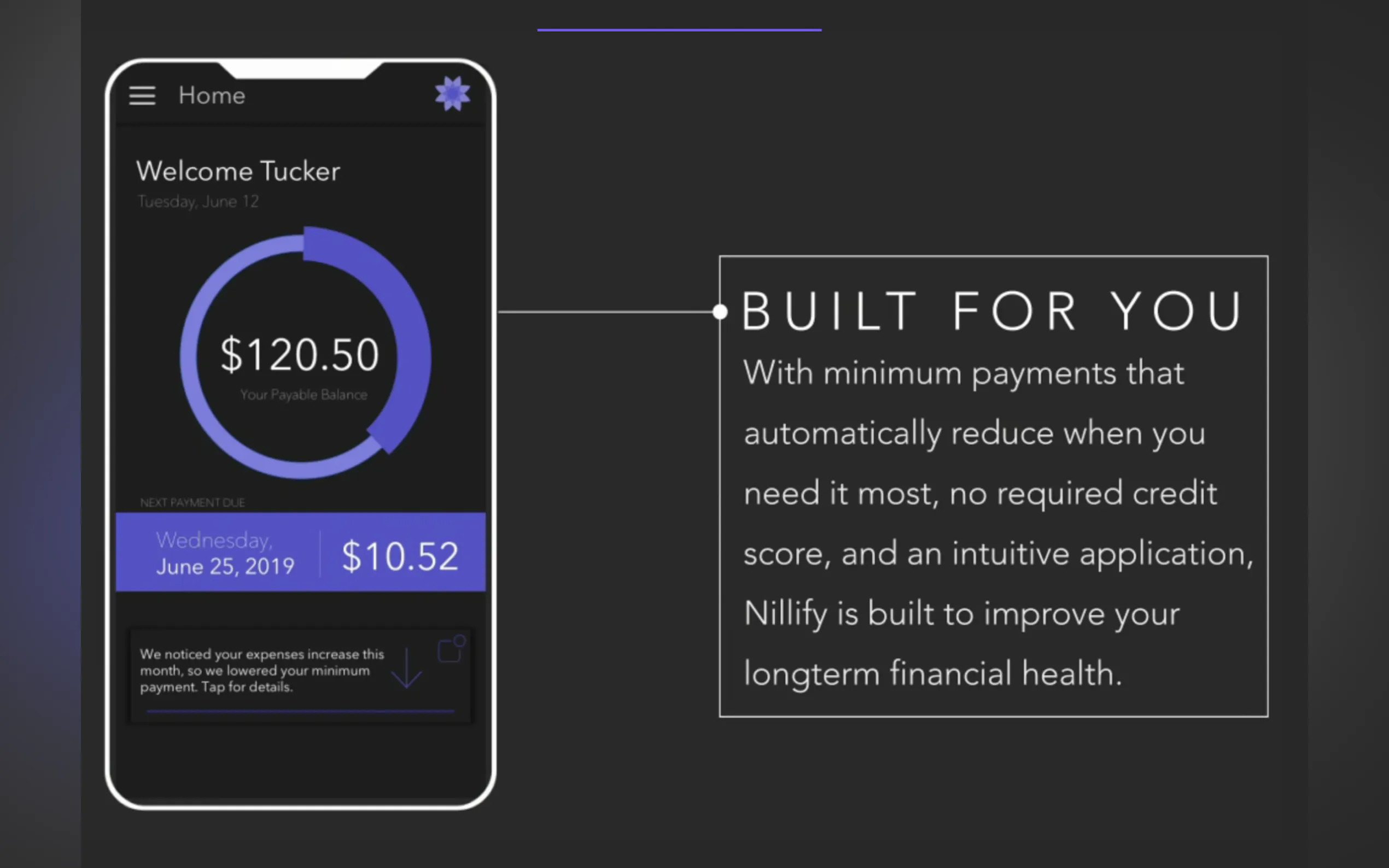 Screenshot 3 of Nillify