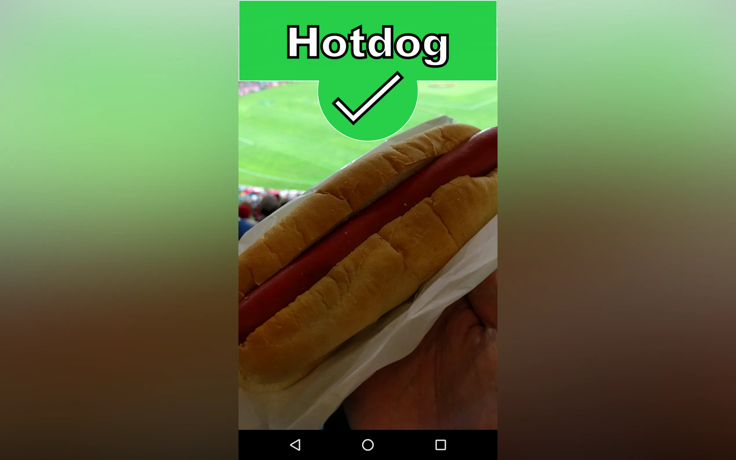 Not Hotdog - SeeFood