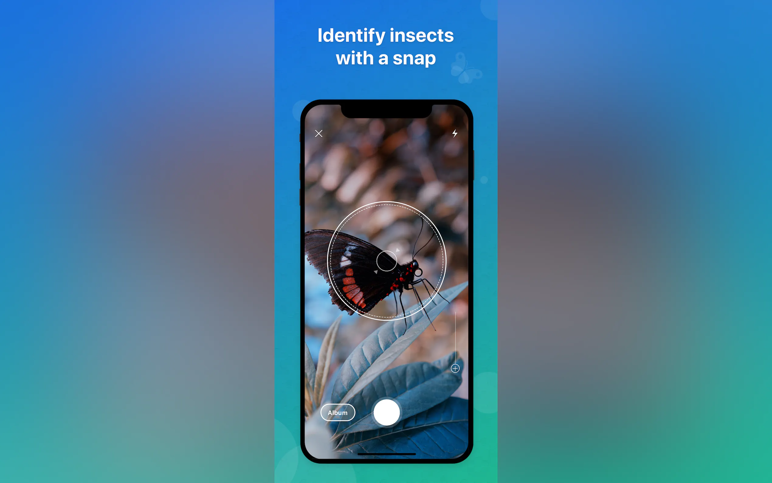 Screenshot 2 of Picture Insect
